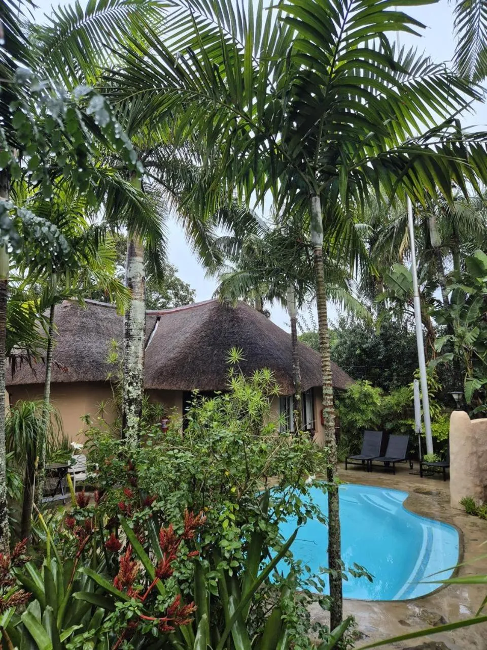 Day in Afrikhaya Guest House