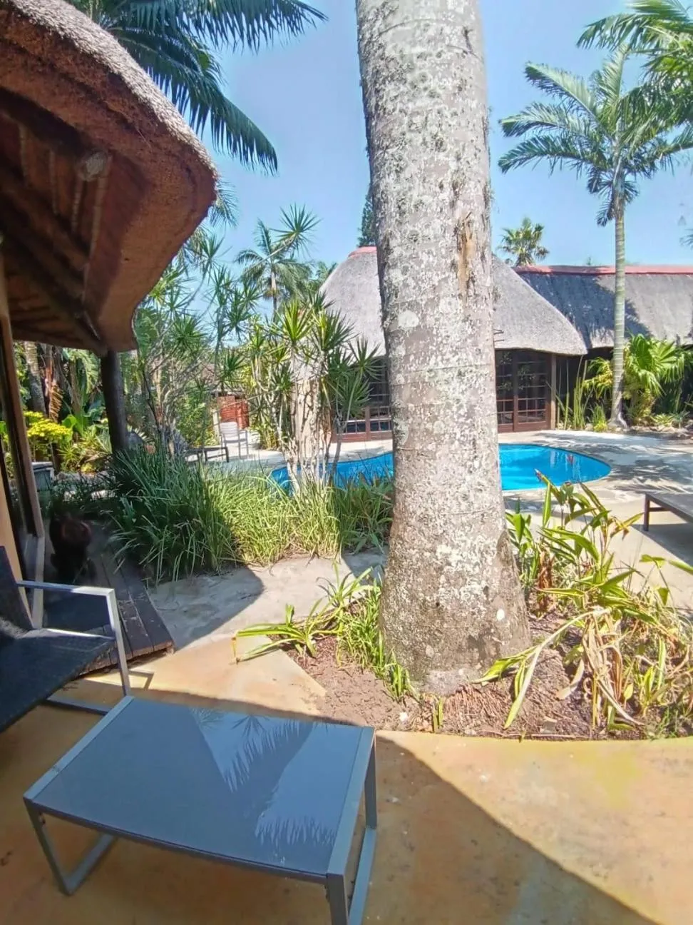 View (from property/room) in Afrikhaya Guest House