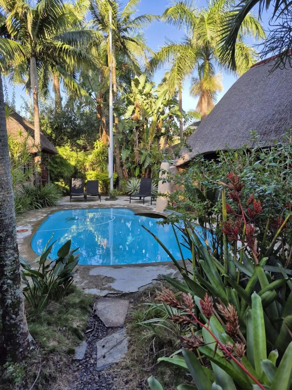Garden in Afrikhaya Guest House