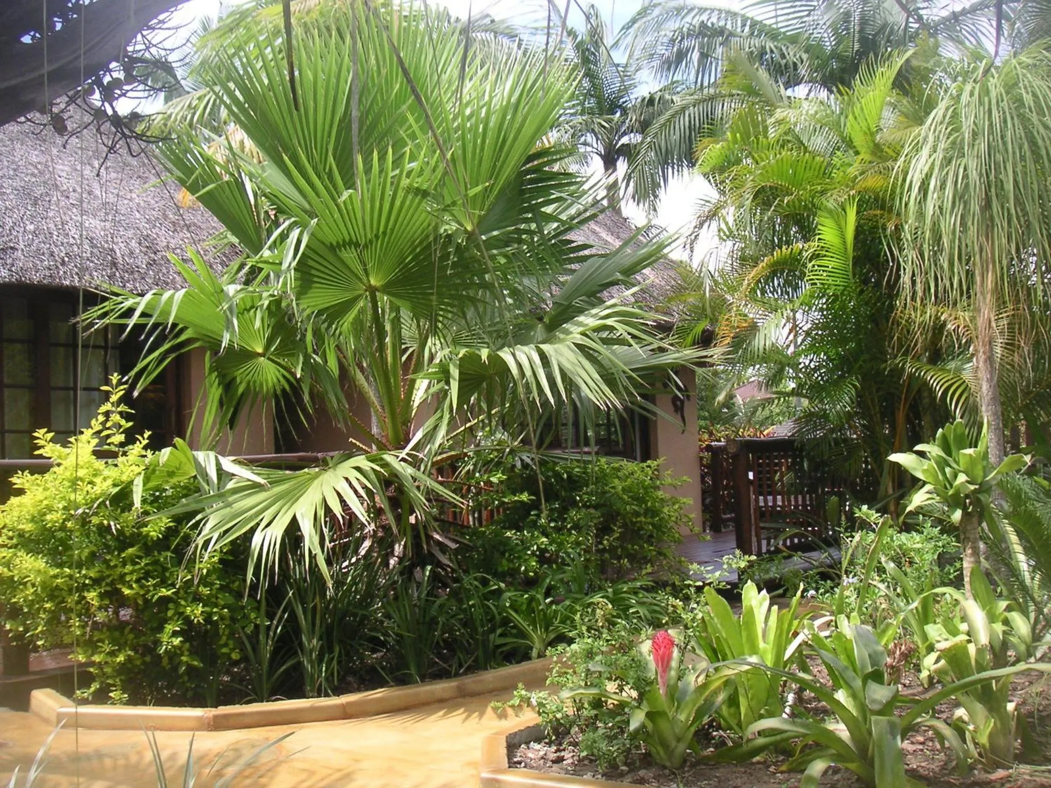 Facade/entrance in Afrikhaya Guest House