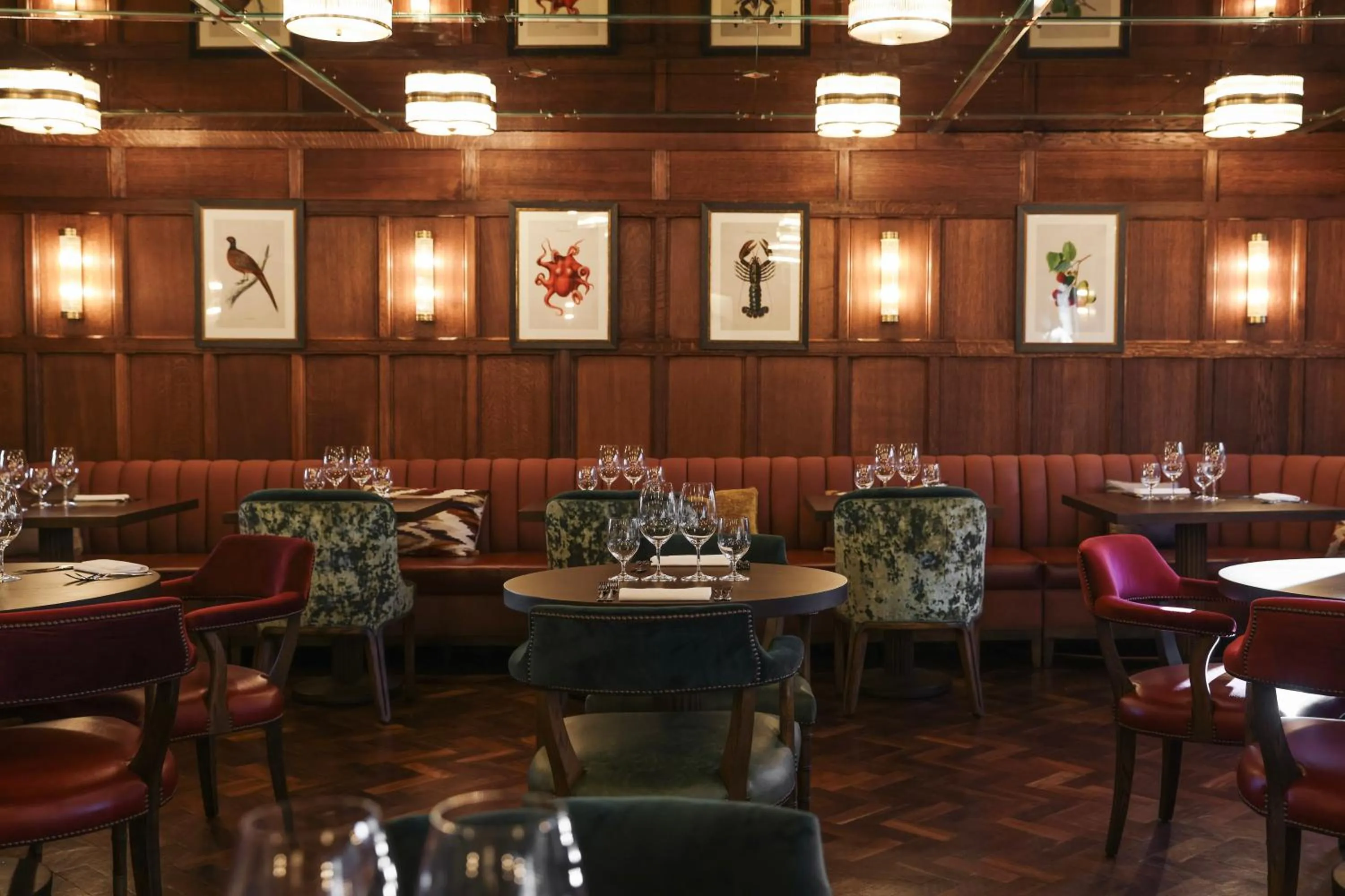 Restaurant/places to eat in Crazy Bear Stadhampton