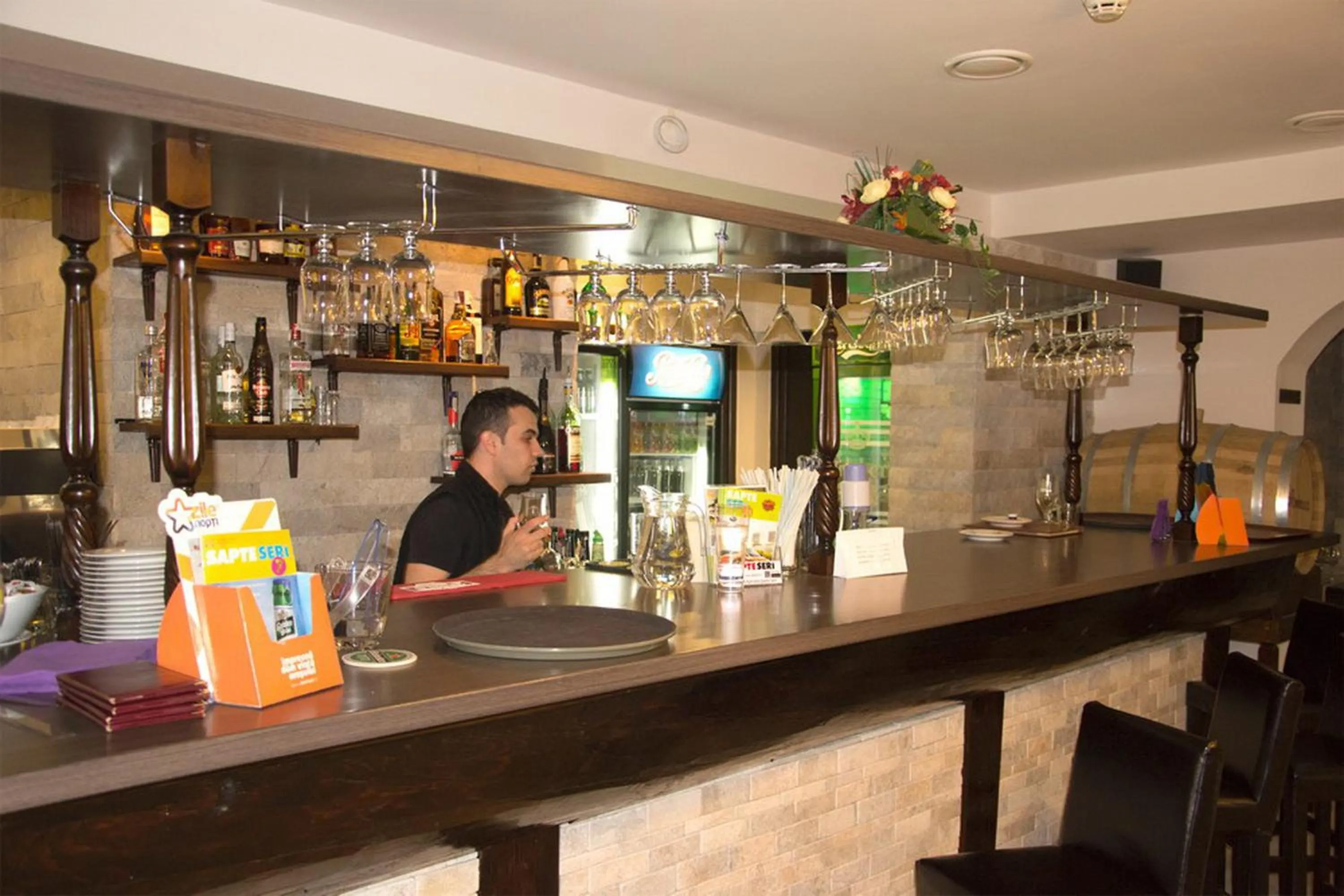 Lounge or bar in Hanul Domnesc