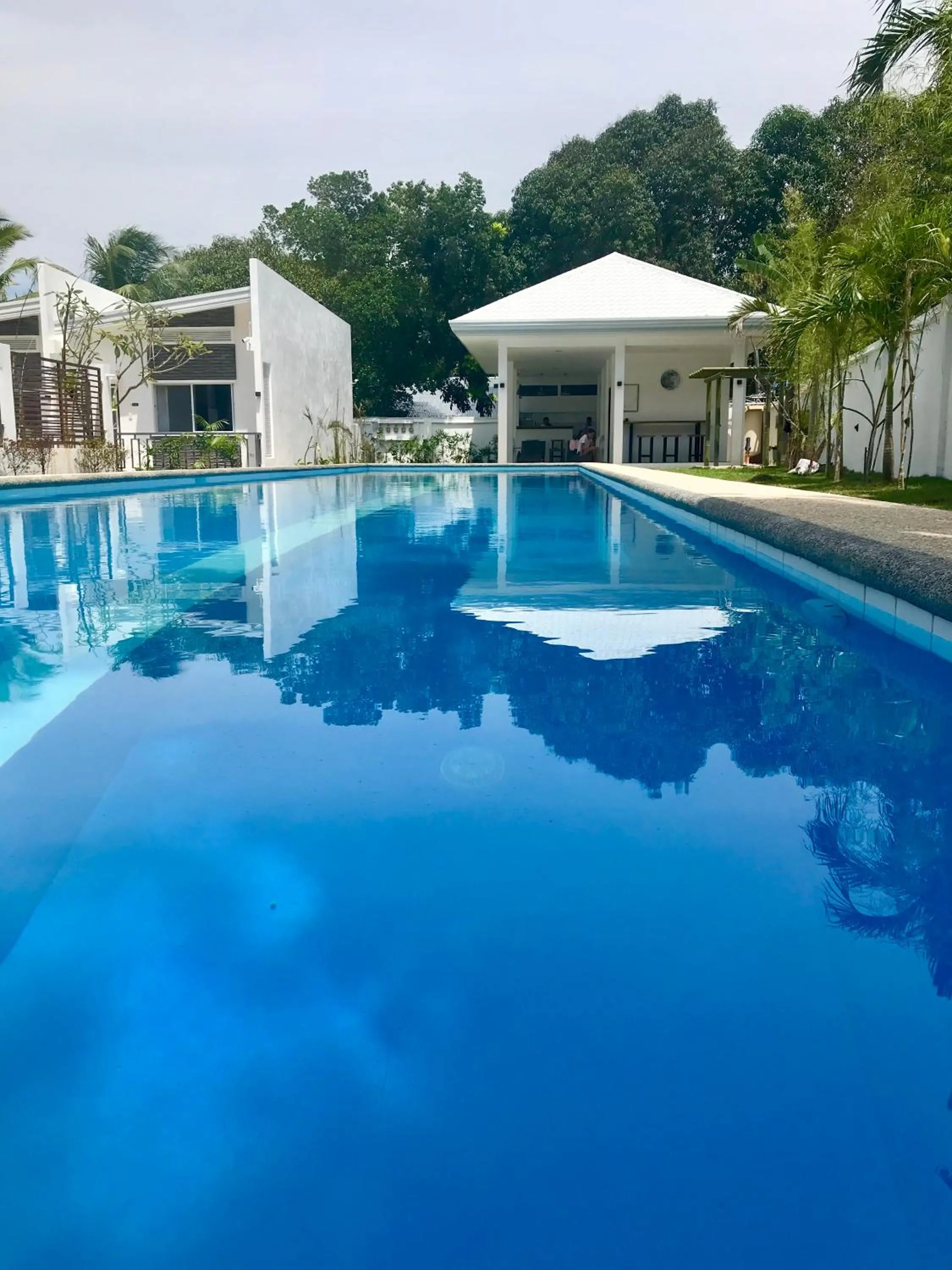 Pool view in 1949 Dreamy Home