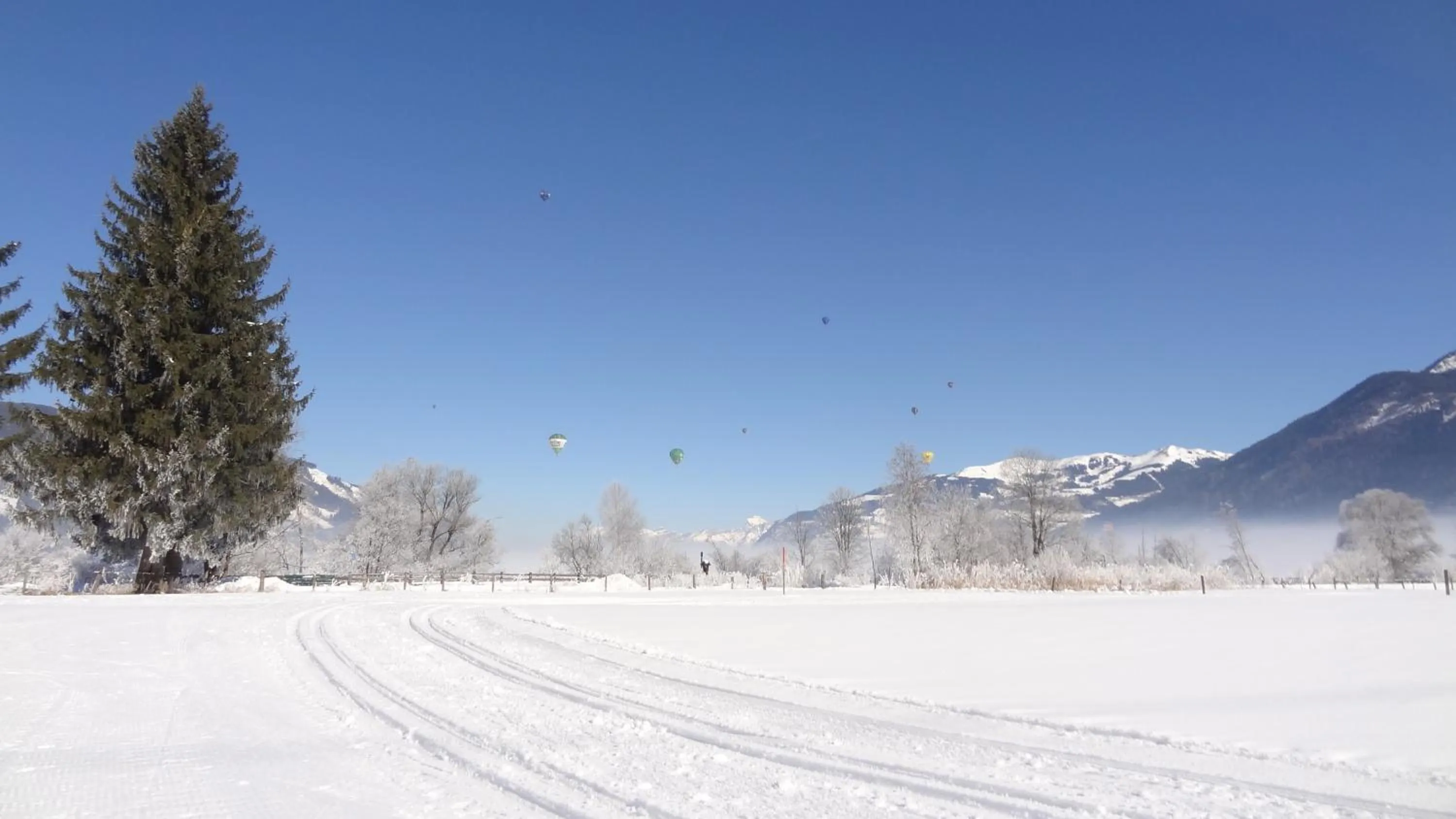 Activities in Landhaus Gassner