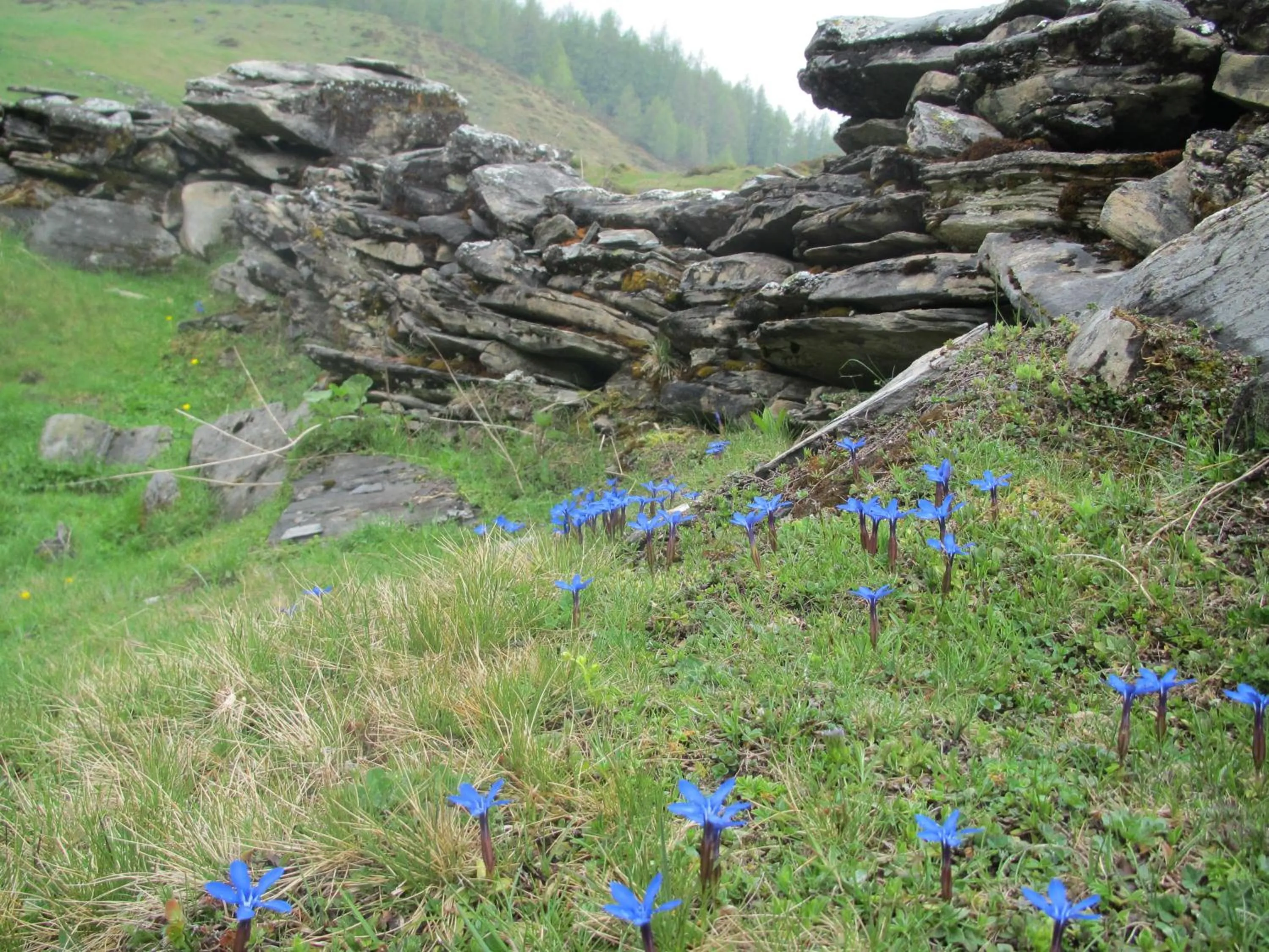 Natural landscape in Landhaus Gassner