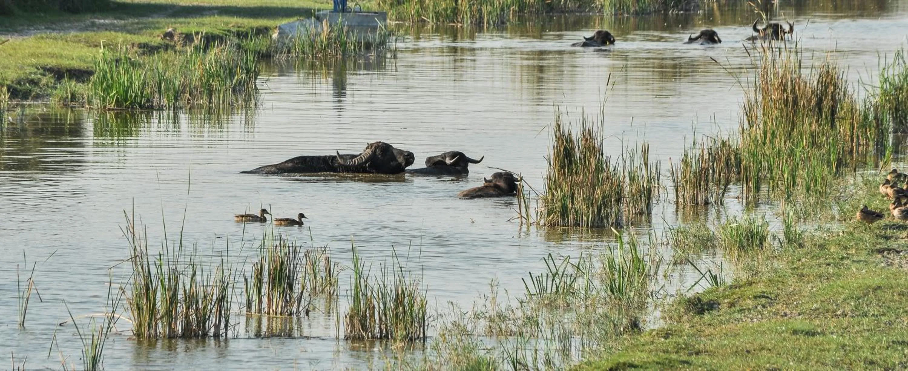 Natural landscape in Homoki Lodge - Nature Quest Resort - Adult Only