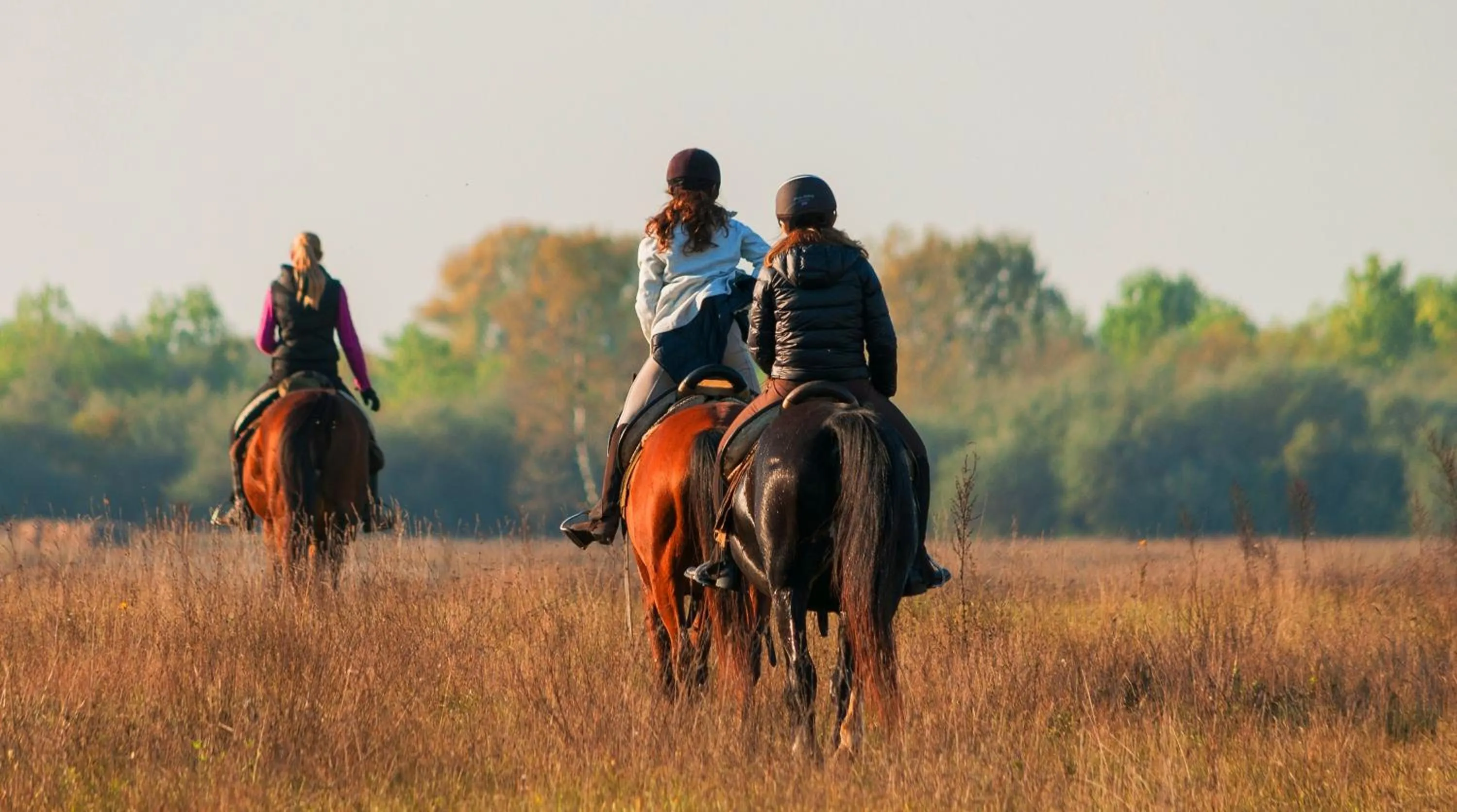 Horse-riding in Homoki Lodge - Nature Quest Resort - Adult Only
