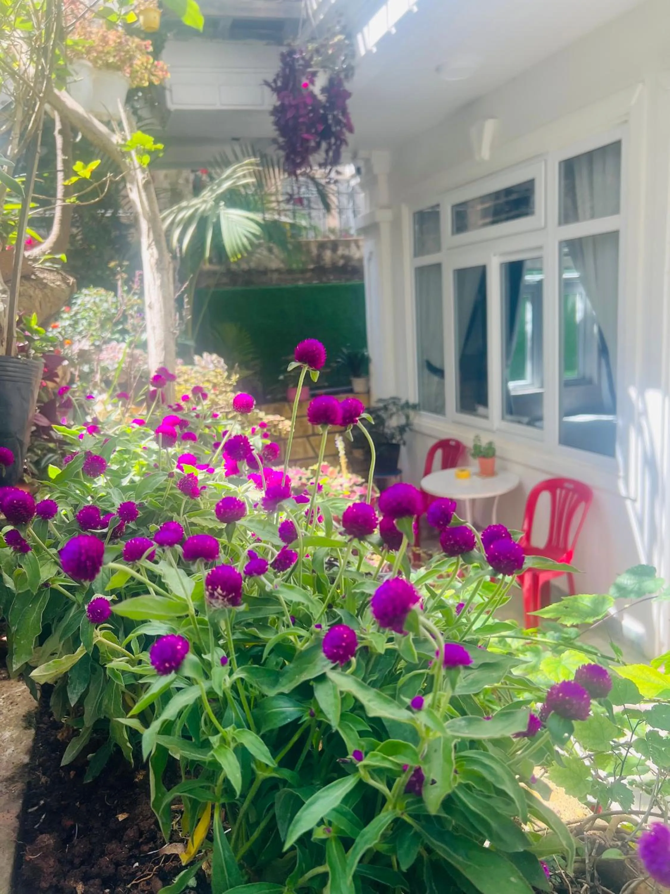 Garden view in Villa - Hotel Nam Khang 2 Dalat