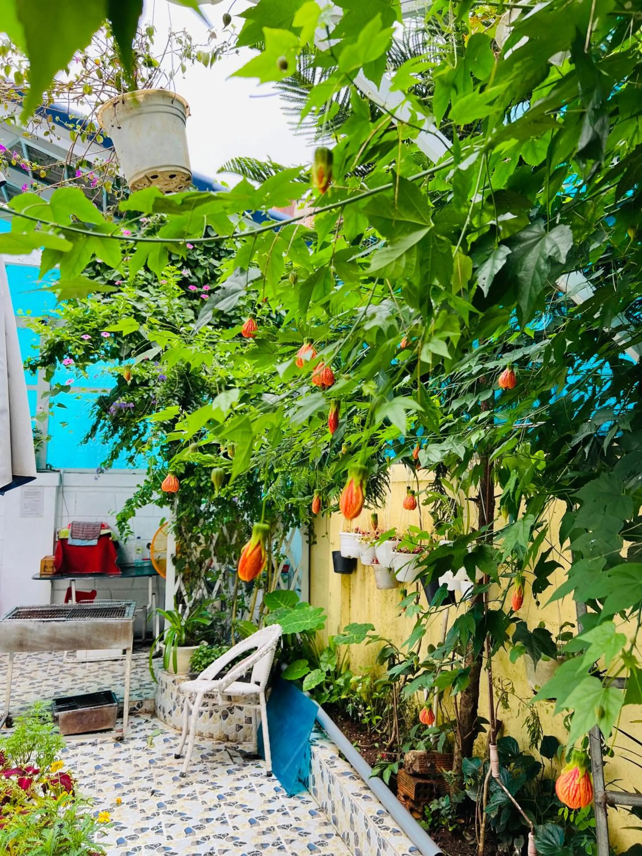 Garden view in Villa - Hotel Nam Khang 2 Dalat