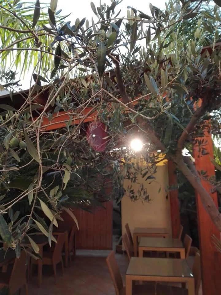 Day in Amaryllis Hotel