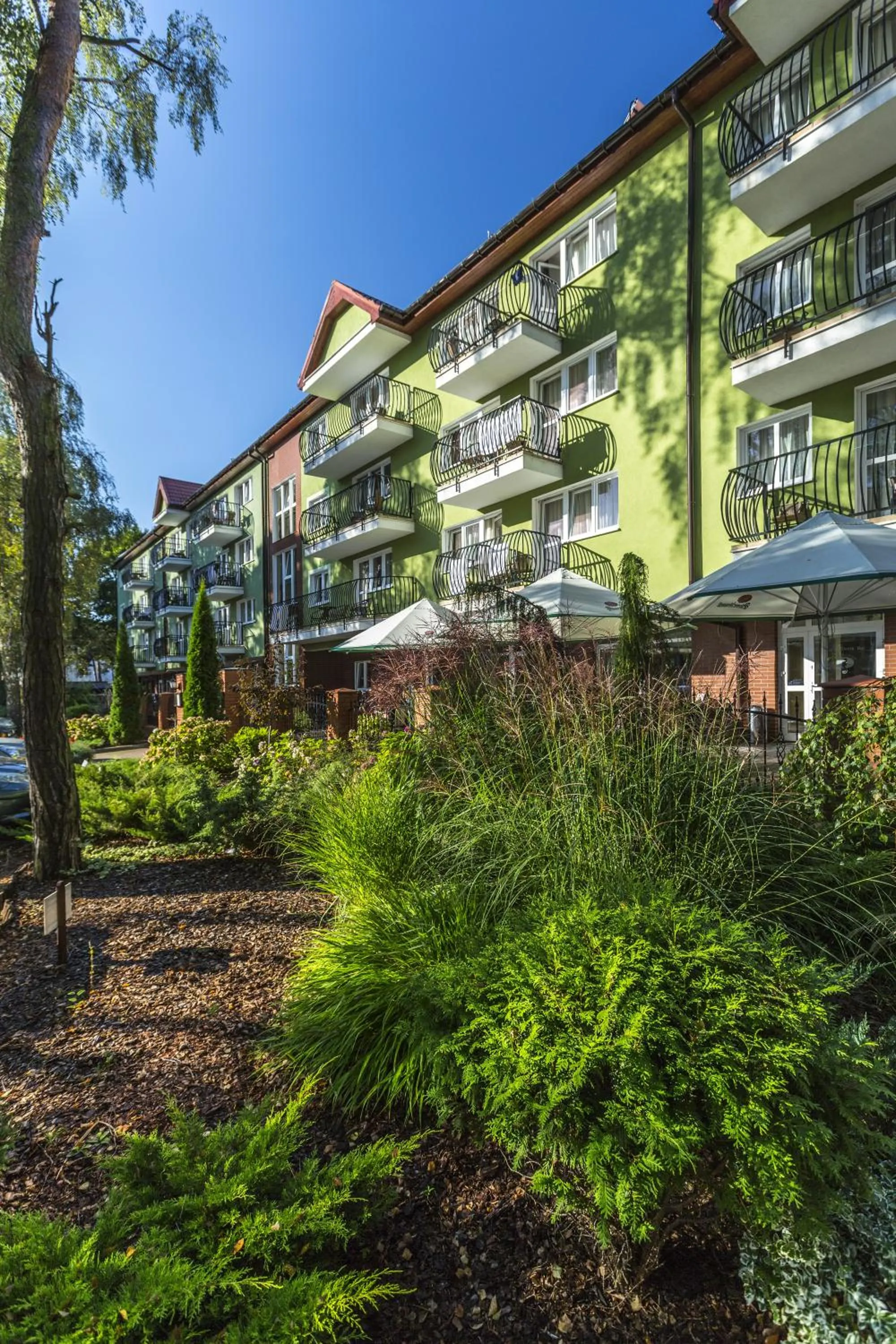 Property building in Maximus Spa