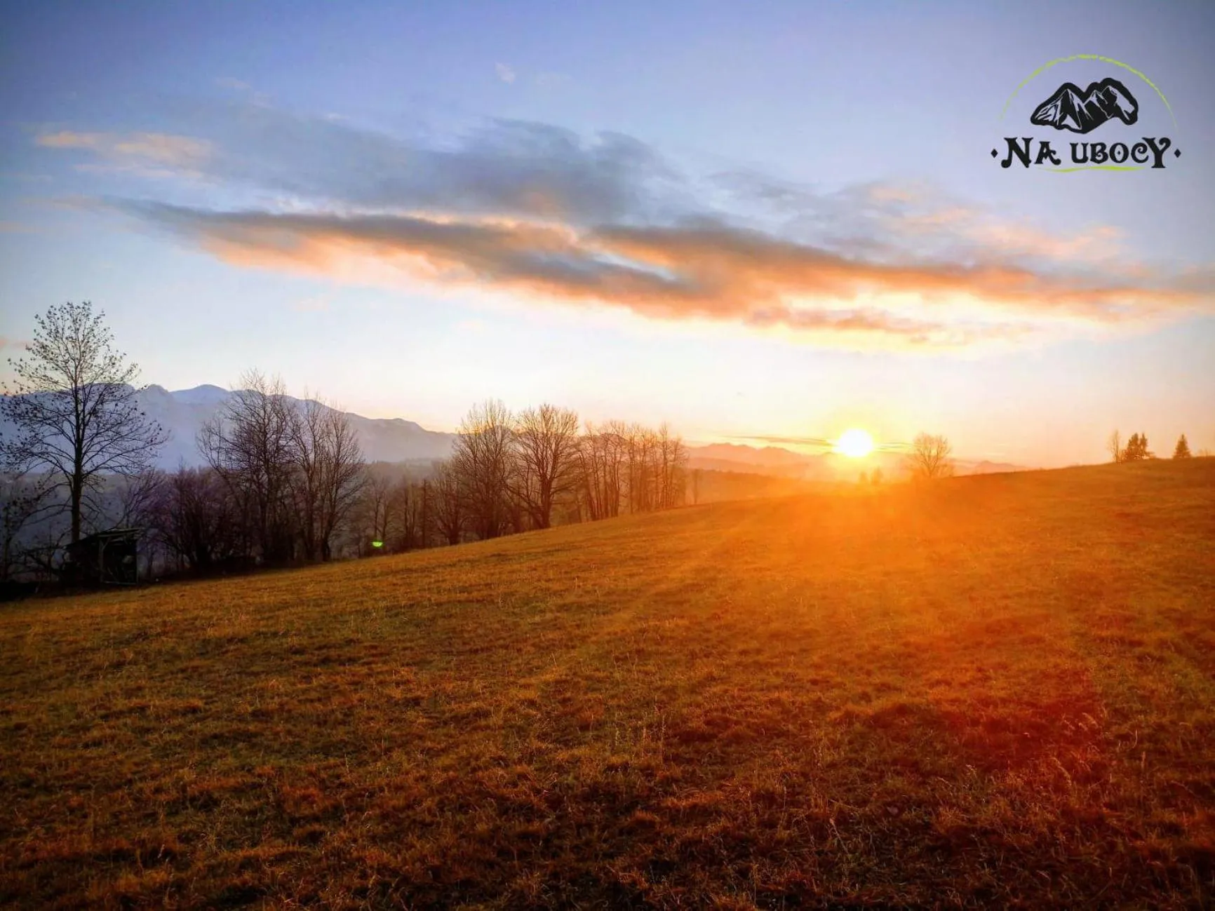 Kitchen or kitchenette in Apartamenty i Pokoje w Willi na Ubocy