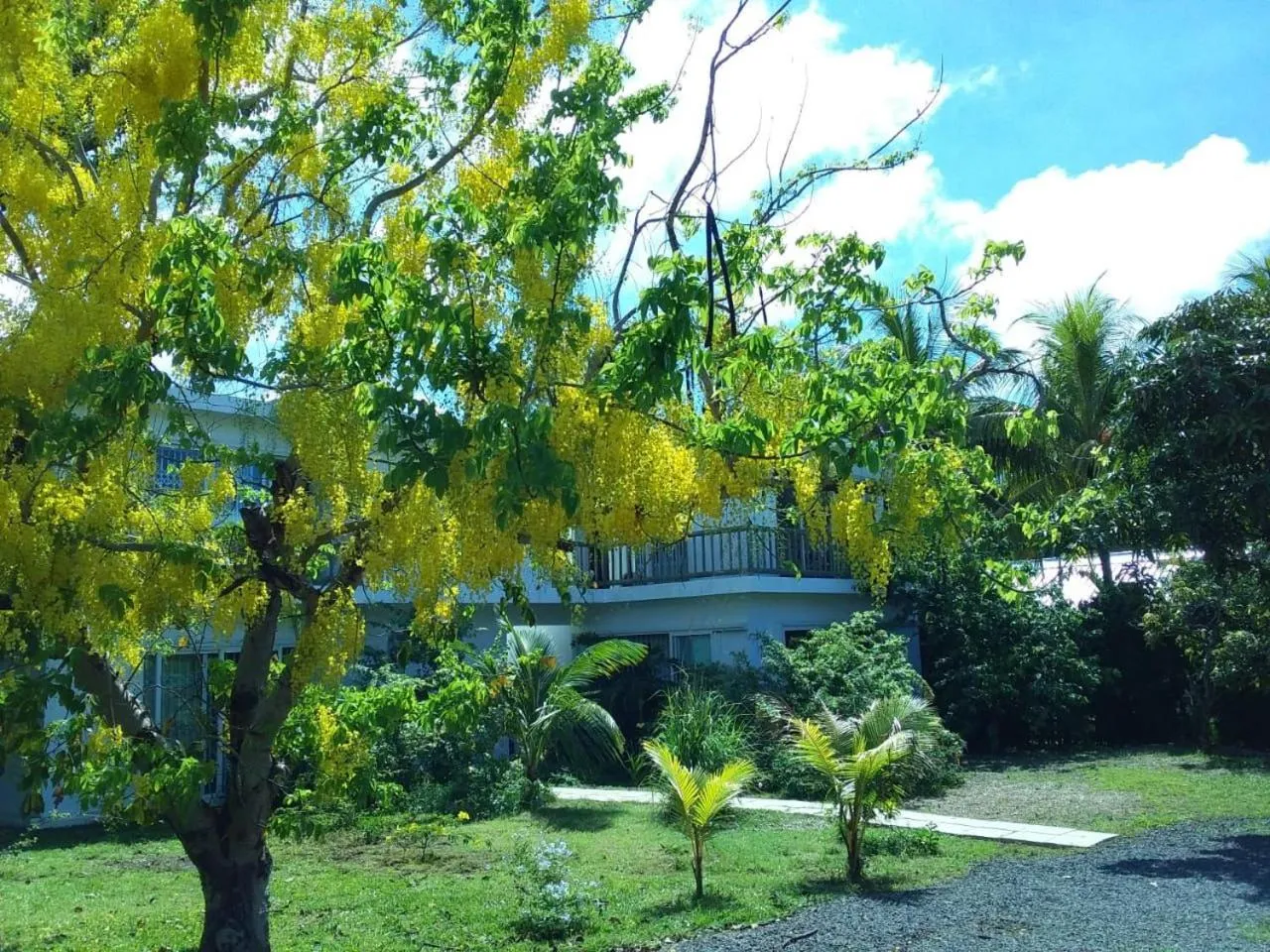 Garden in Cap Heureux Villas