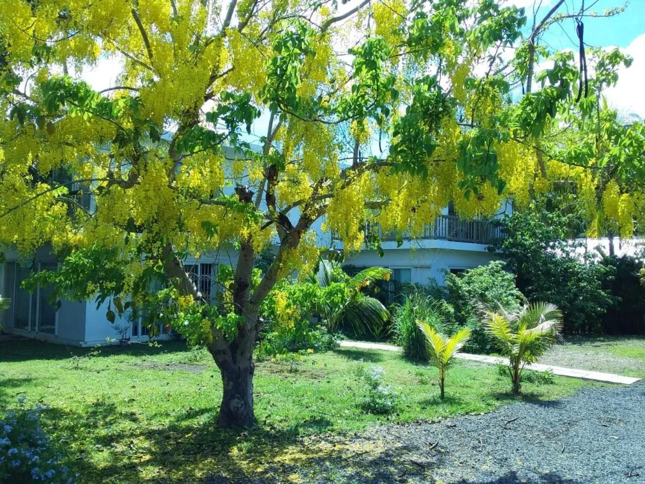 Garden in Cap Heureux Villas