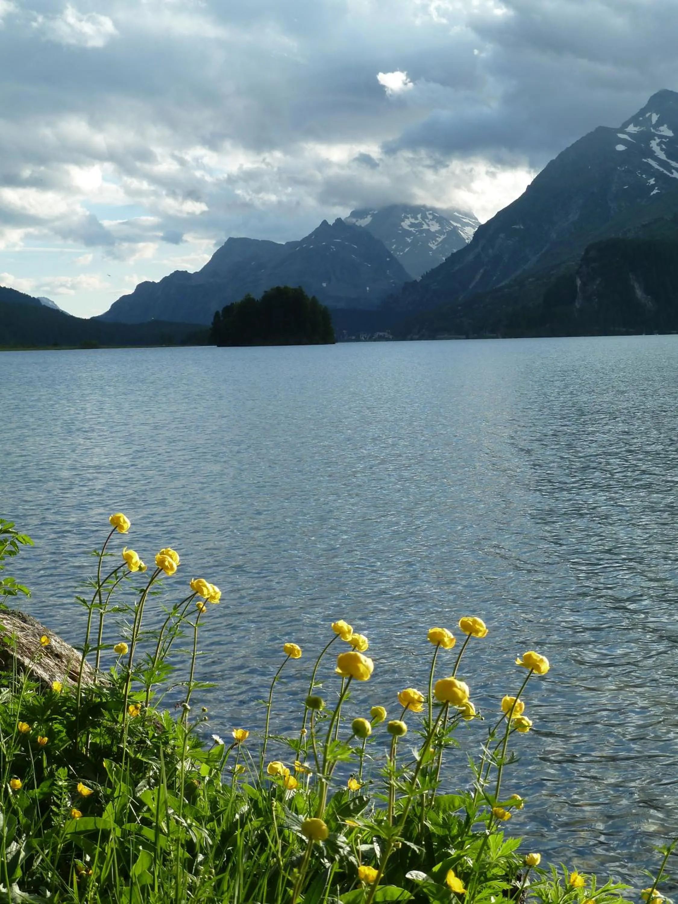 Natural landscape in Hotel Maria