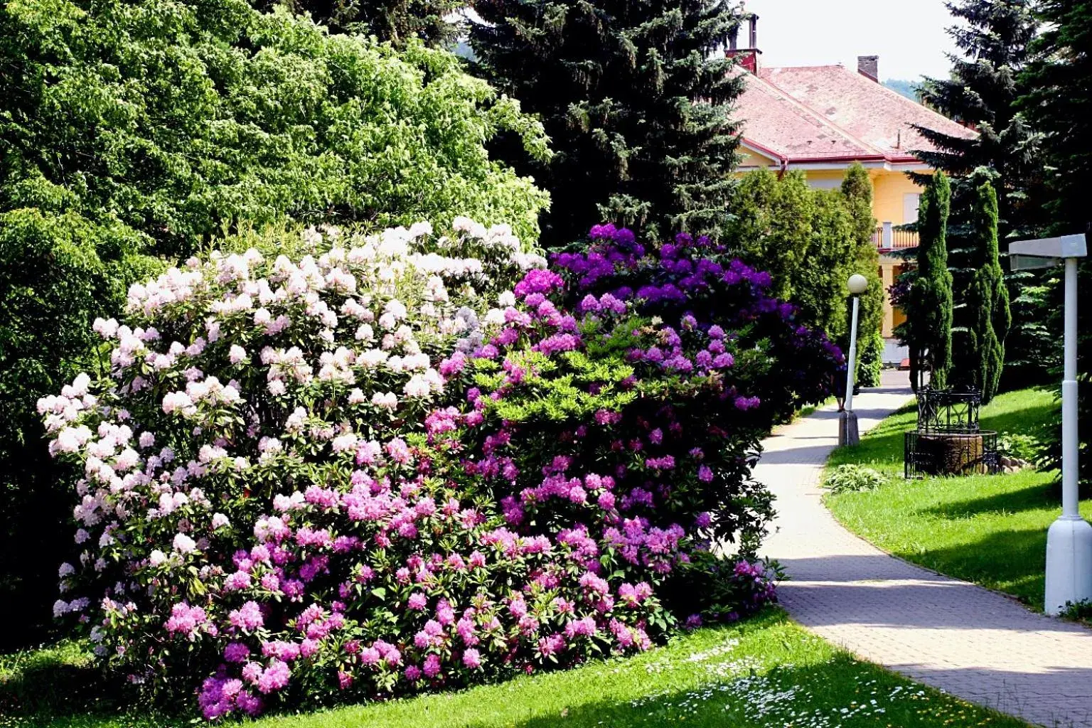 Garden view in Spa Resort Libverda - Villa Friedland Garden view in Spa Resort Libverda - Villa Friedland