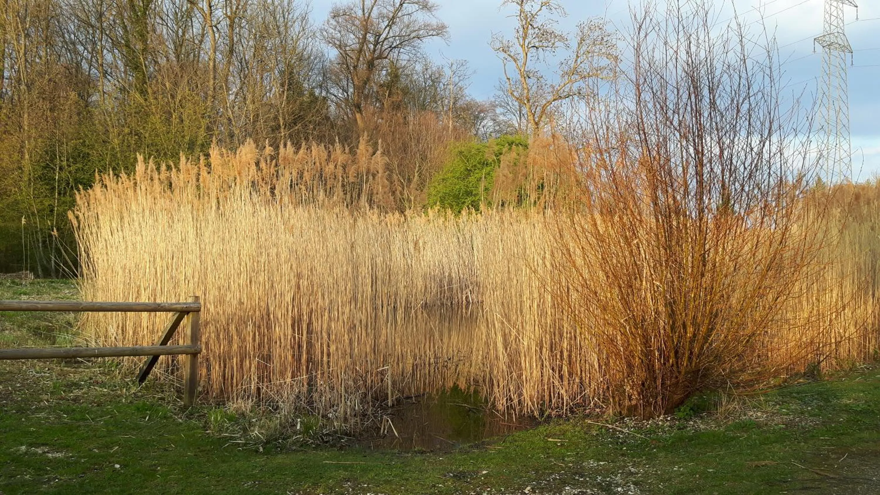 Natural landscape in MyBednBreakfast in Bottmingen