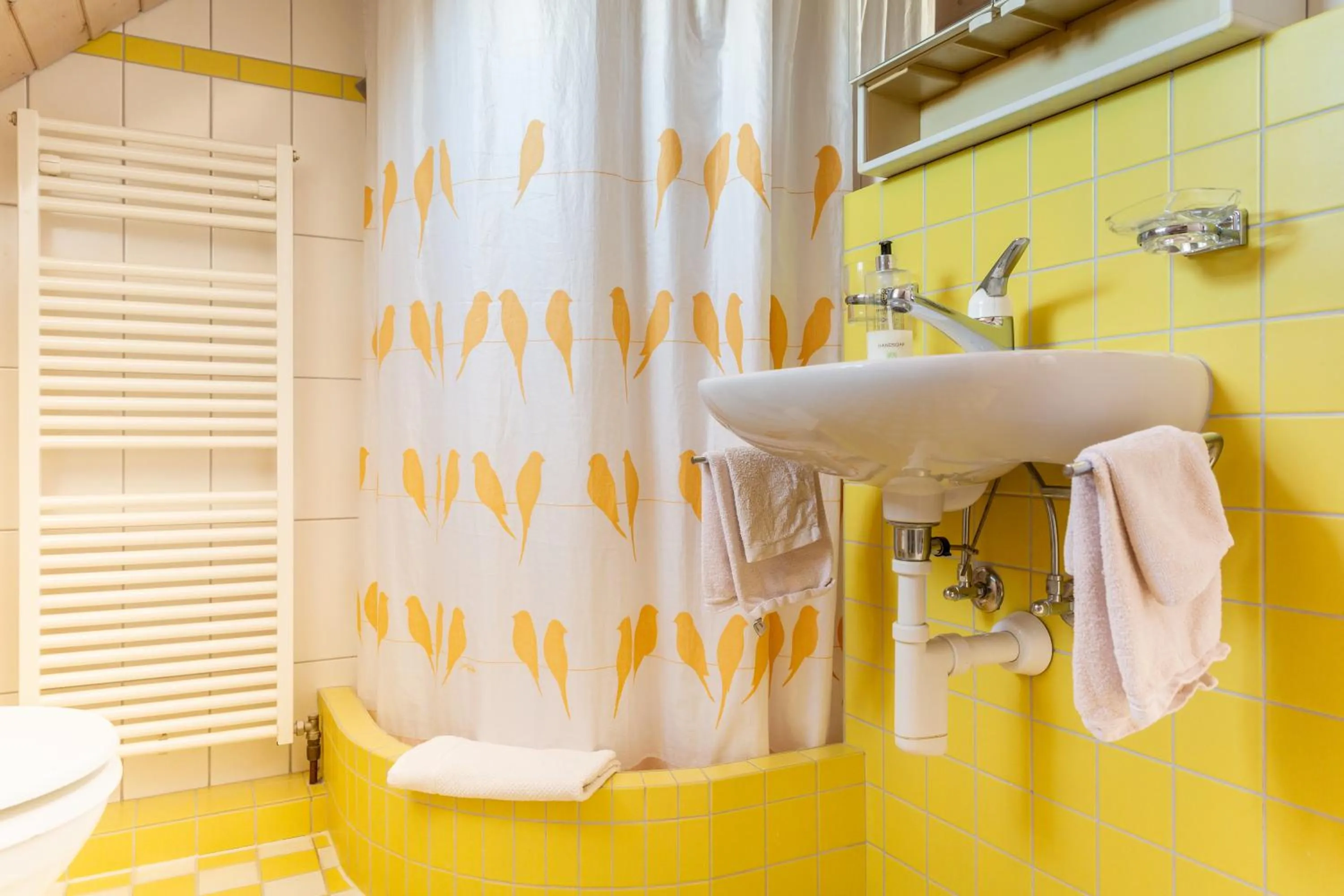 Bathroom in MyBednBreakfast in Bottmingen