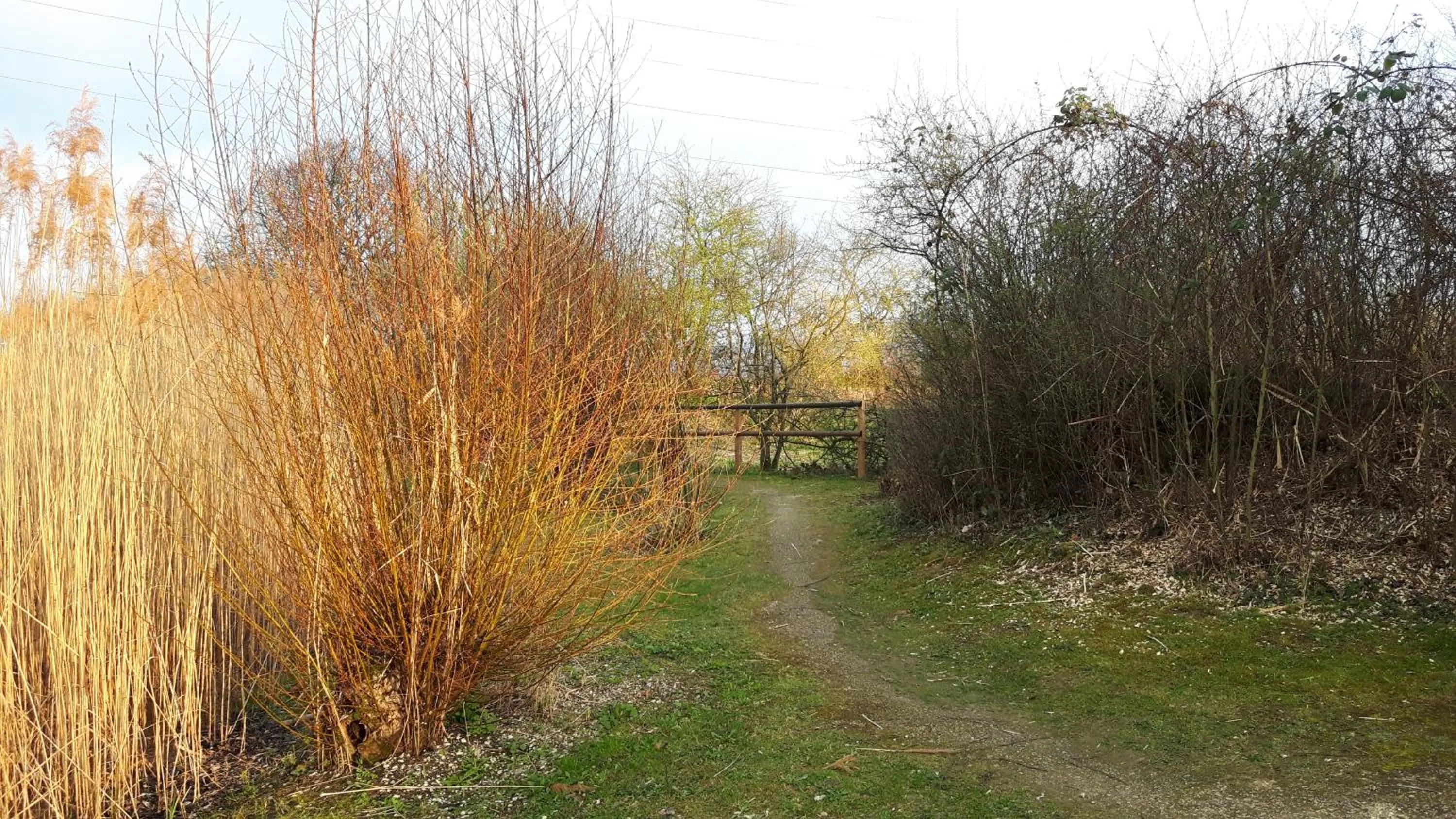 Natural landscape in MyBednBreakfast in Bottmingen