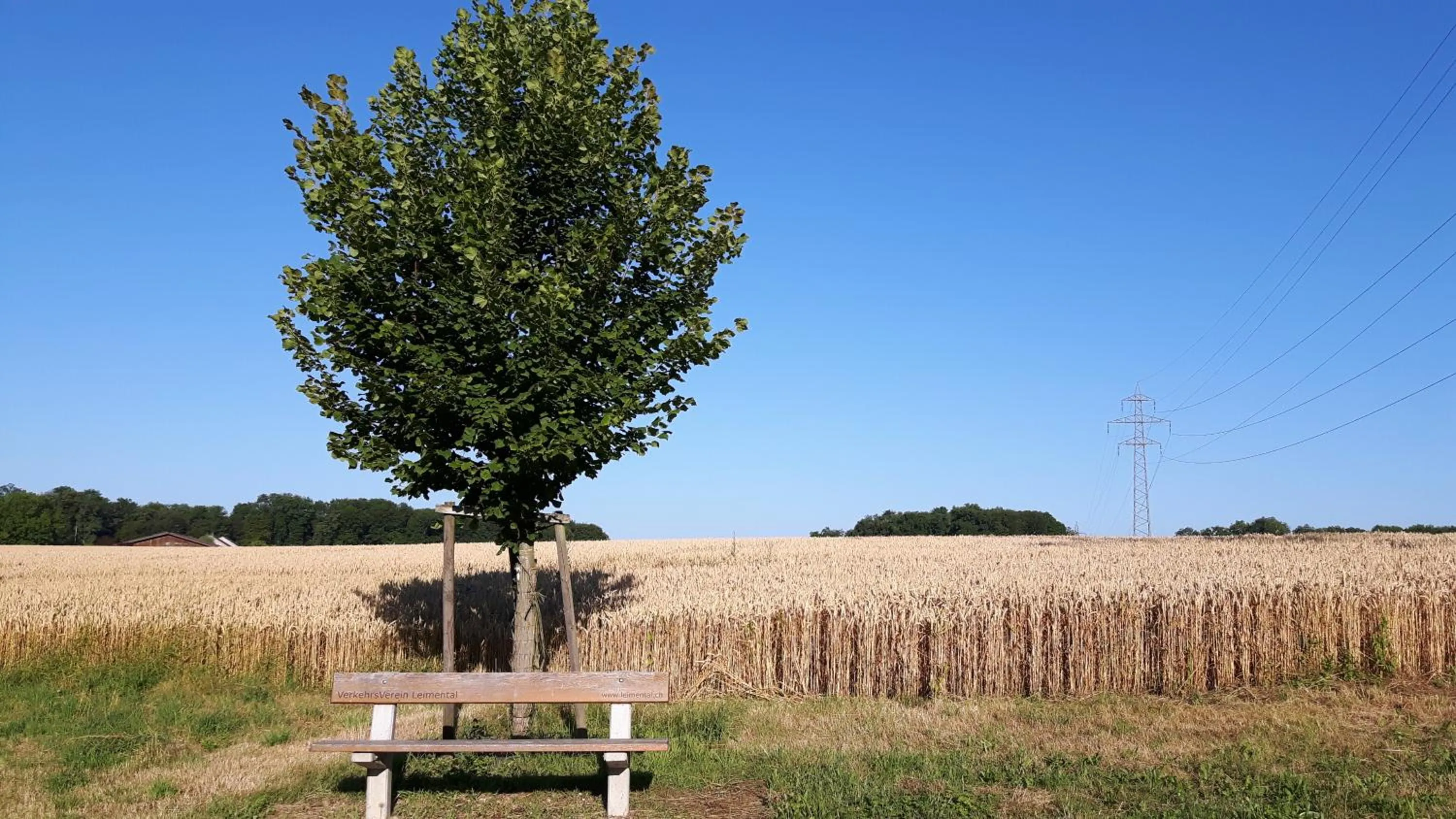 Natural landscape in MyBednBreakfast in Bottmingen