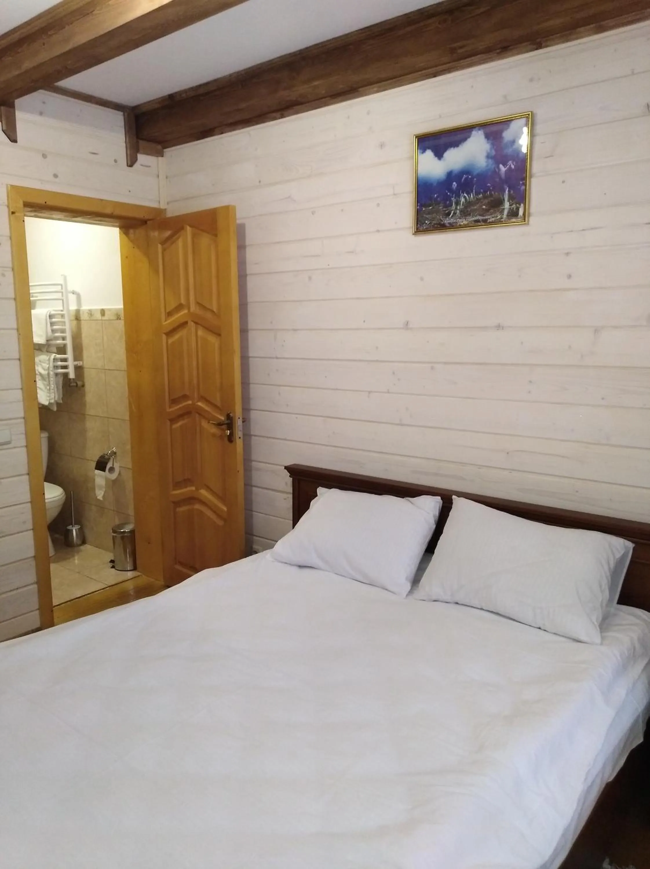 Bed in Hotel Dykyi Med