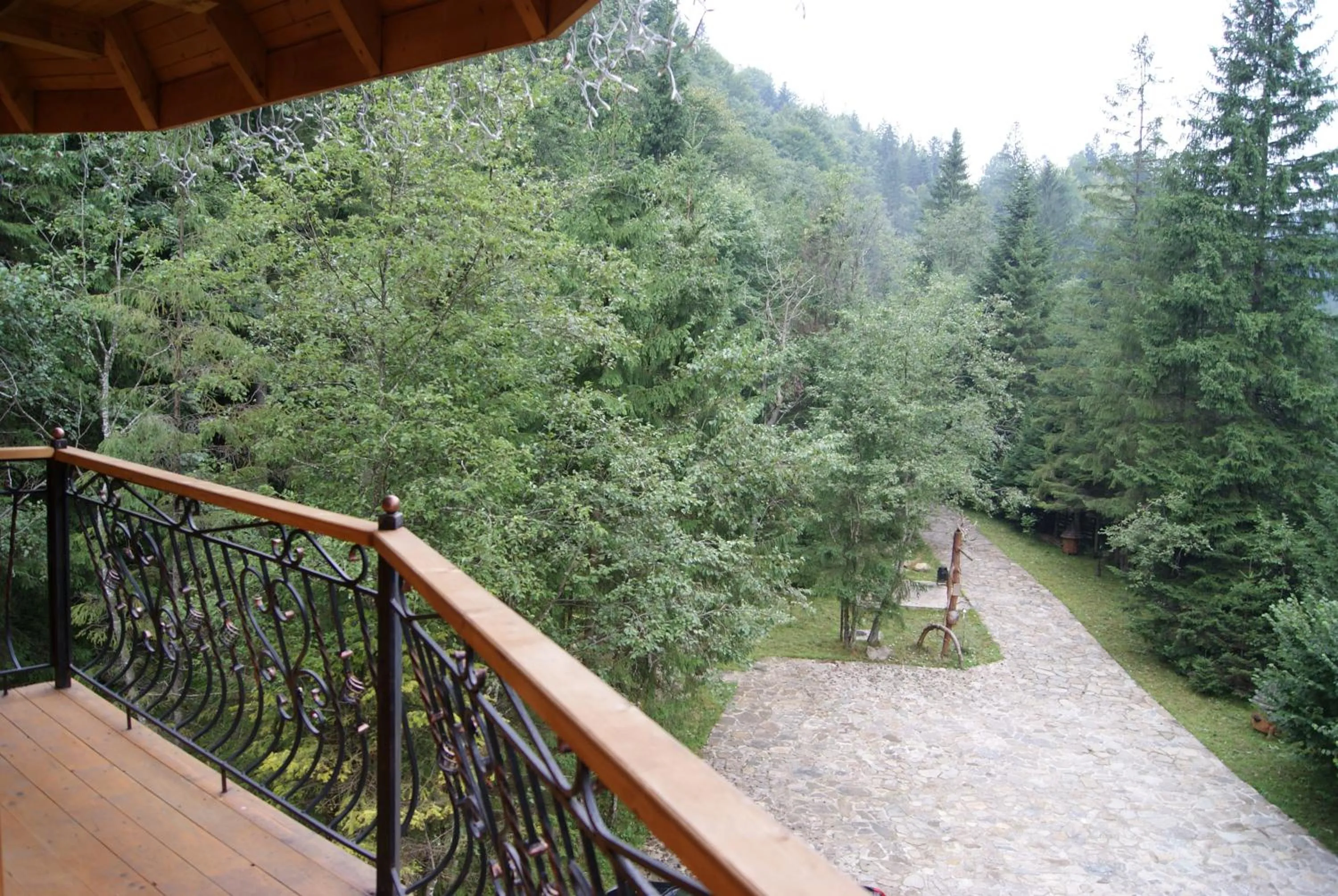 Balcony/Terrace in Hotel Dykyi Med