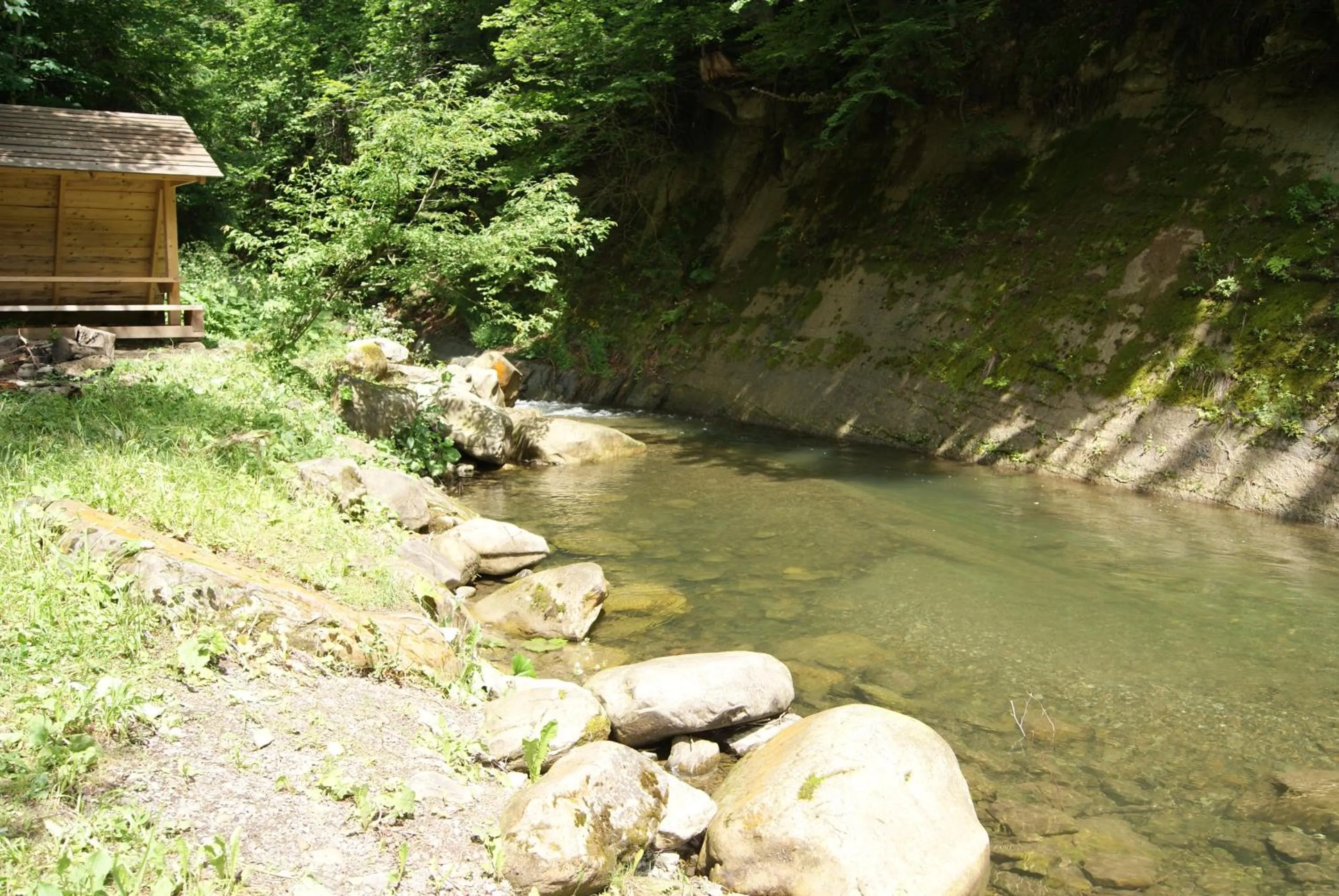 Natural landscape in Hotel Dykyi Med