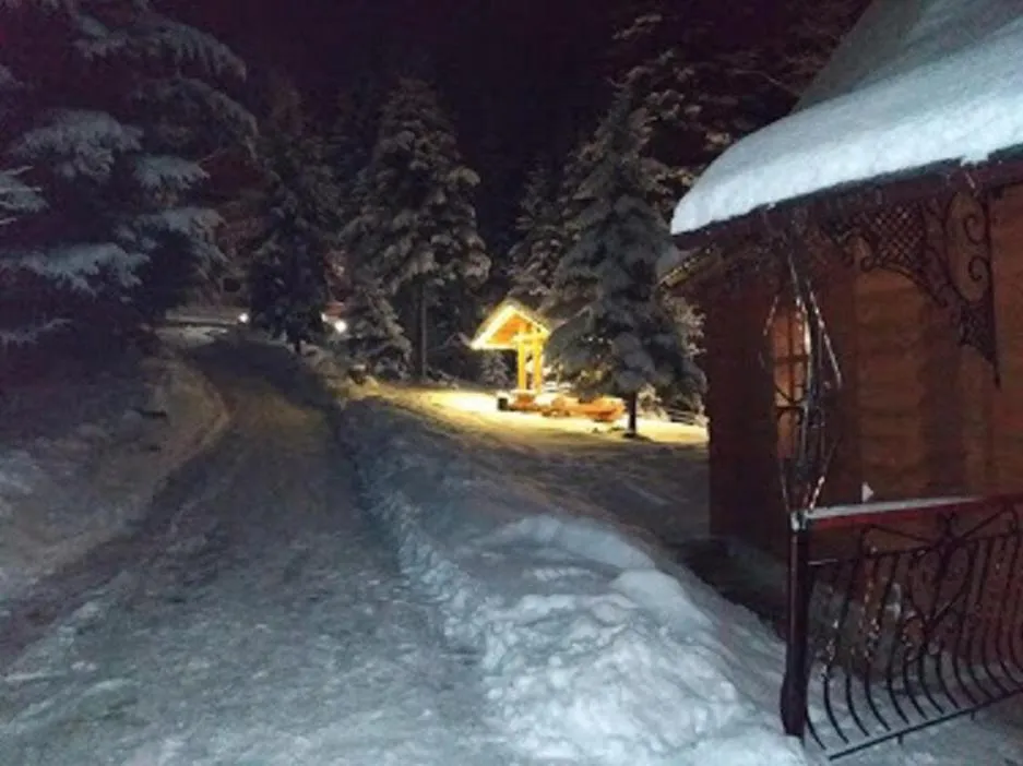Winter in Hotel Dykyi Med