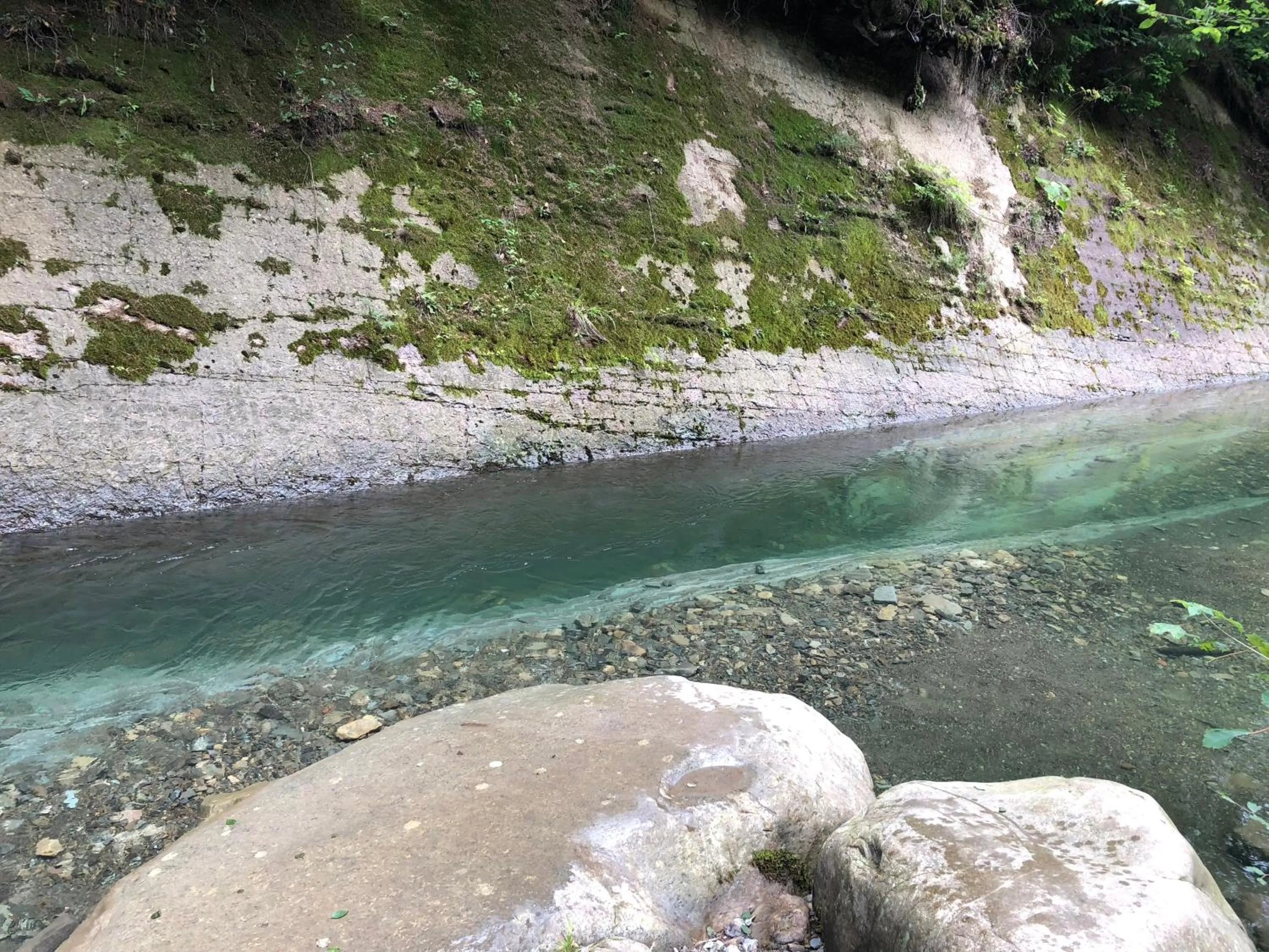 Natural landscape in Hotel Dykyi Med