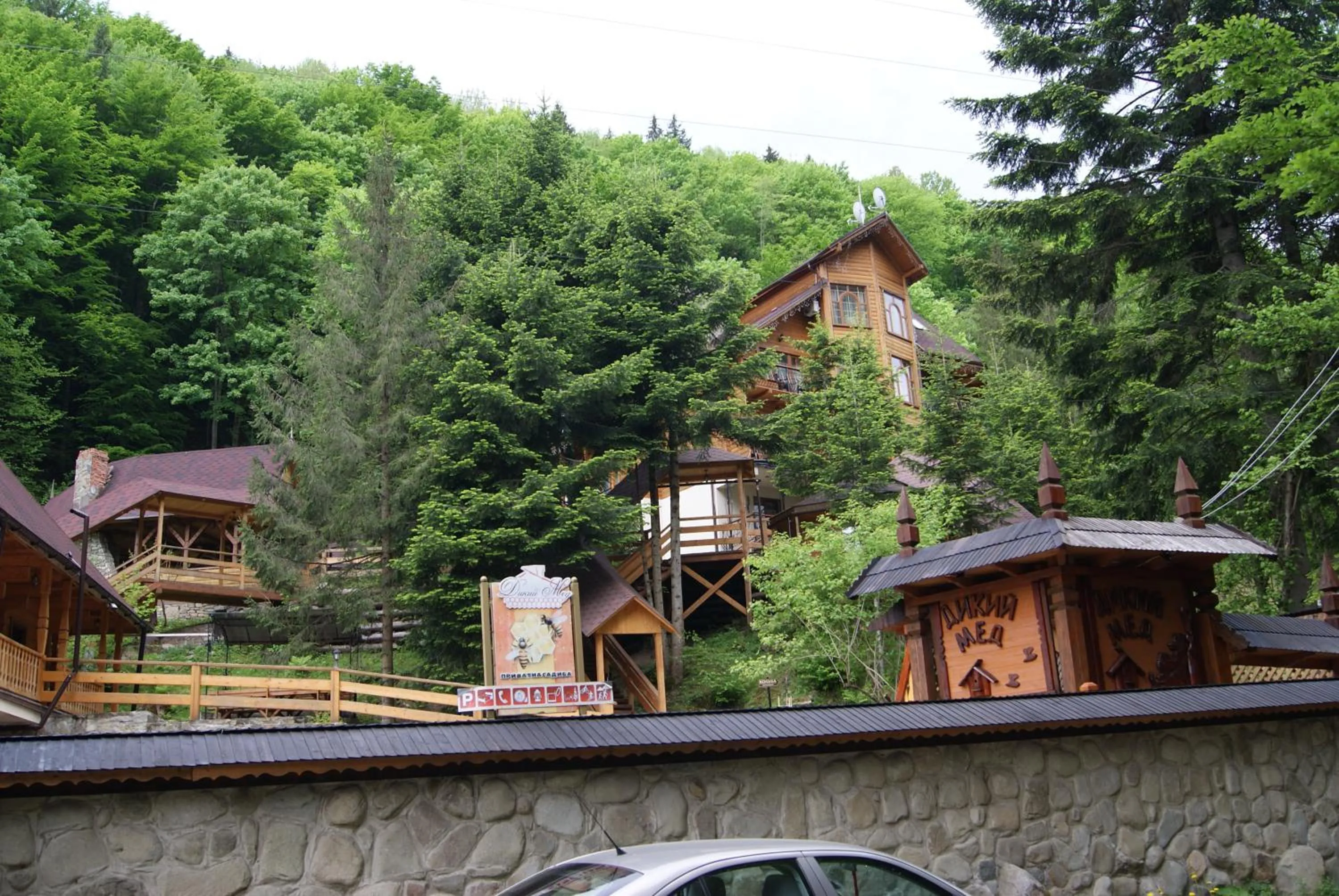 Property building in Hotel Dykyi Med