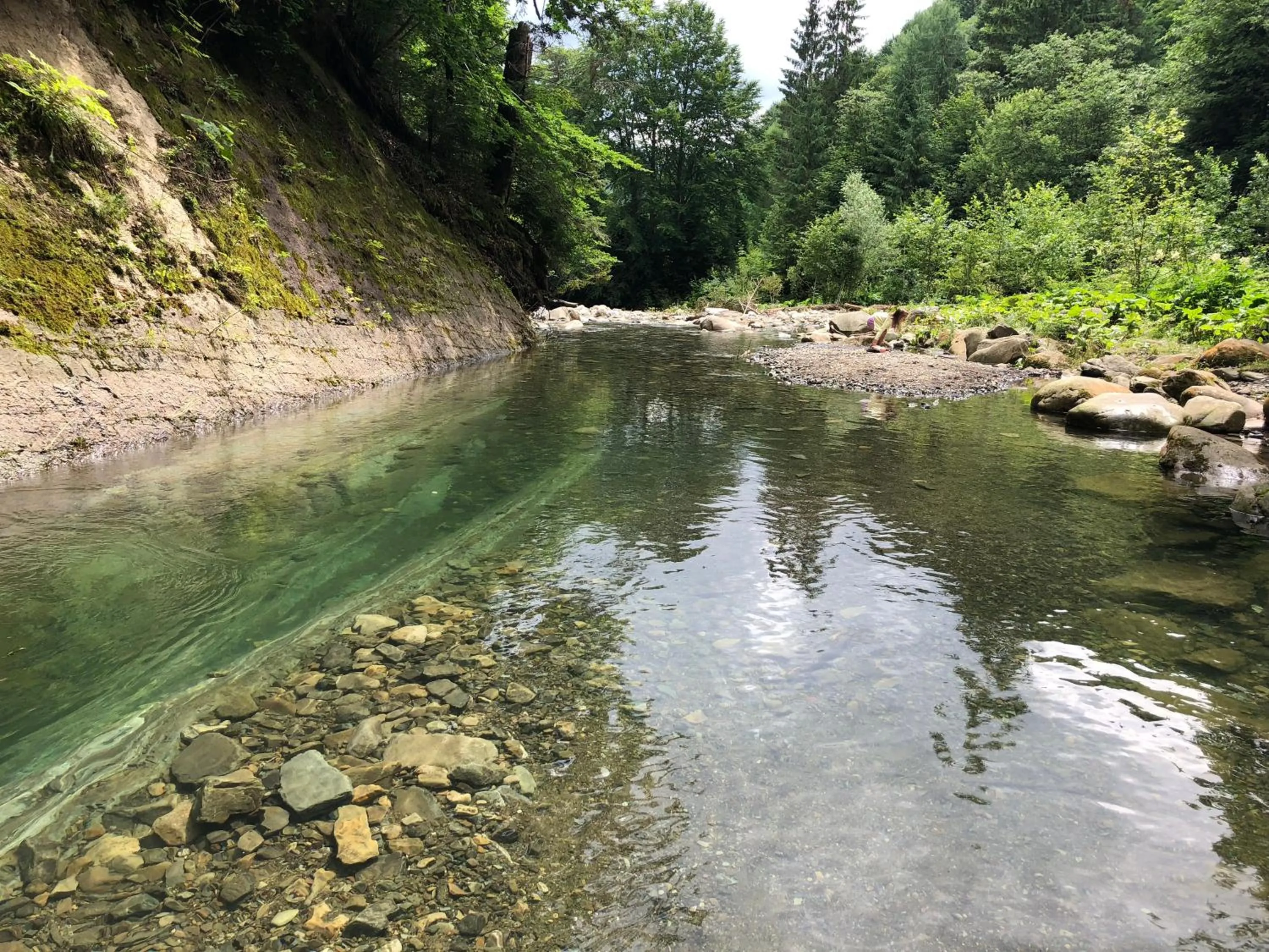 Natural landscape in Hotel Dykyi Med