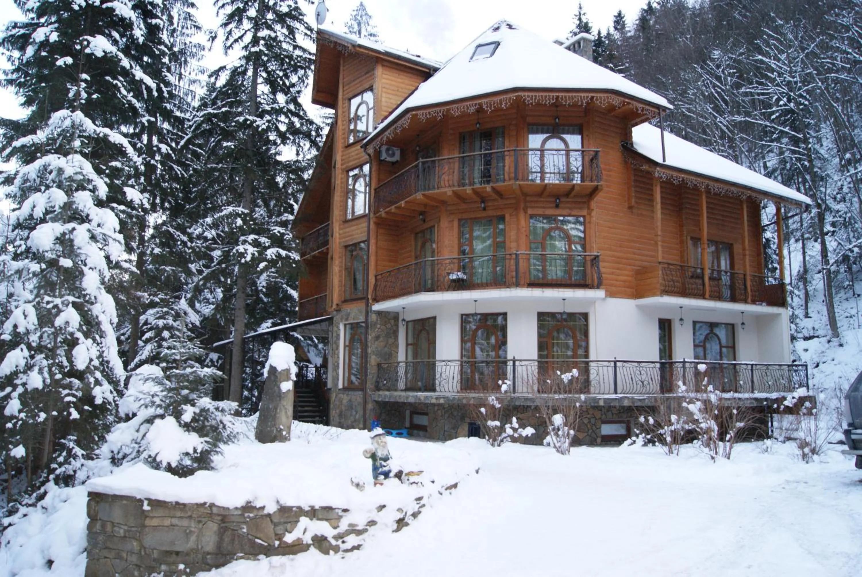 Property building in Hotel Dykyi Med