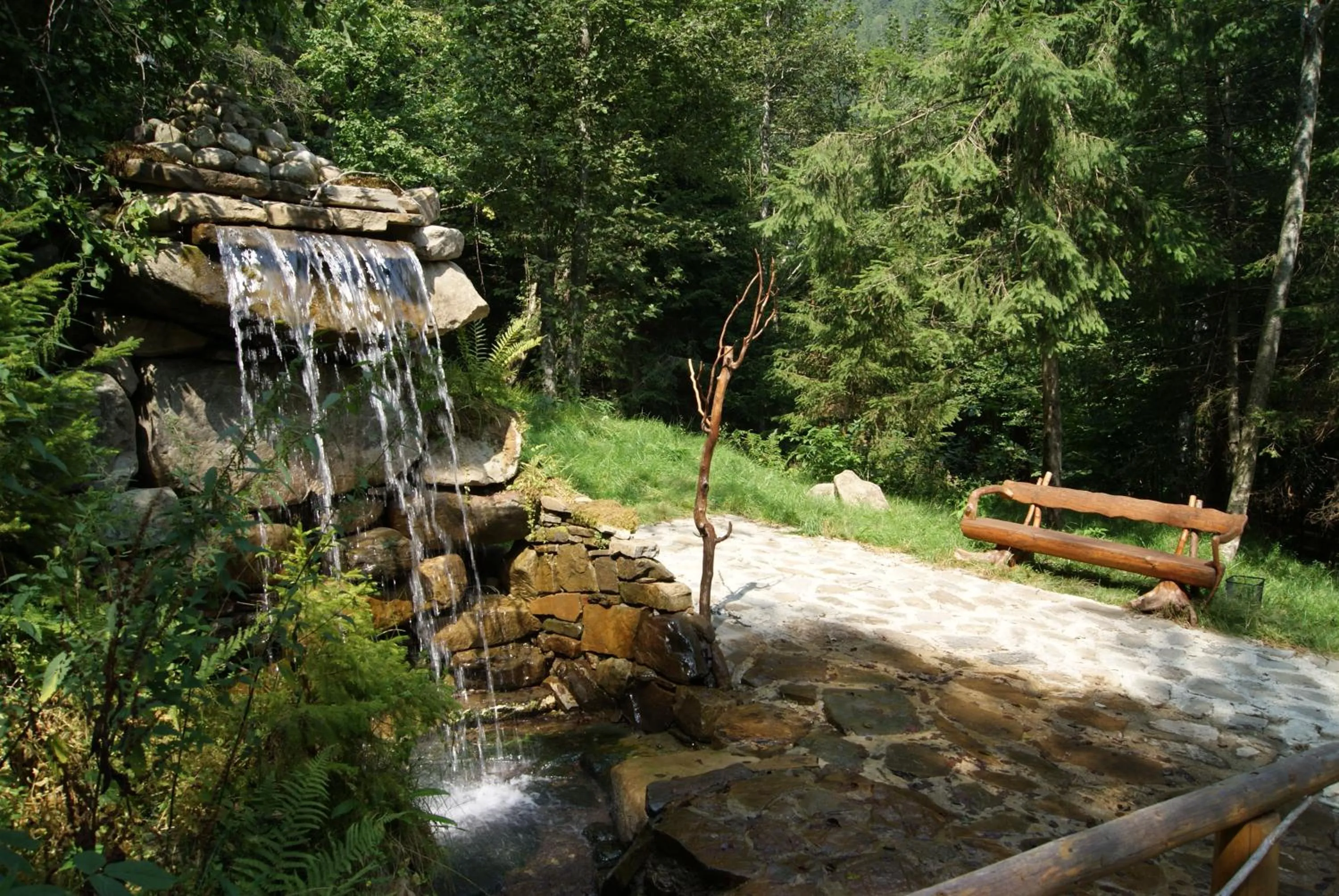 Natural landscape in Hotel Dykyi Med