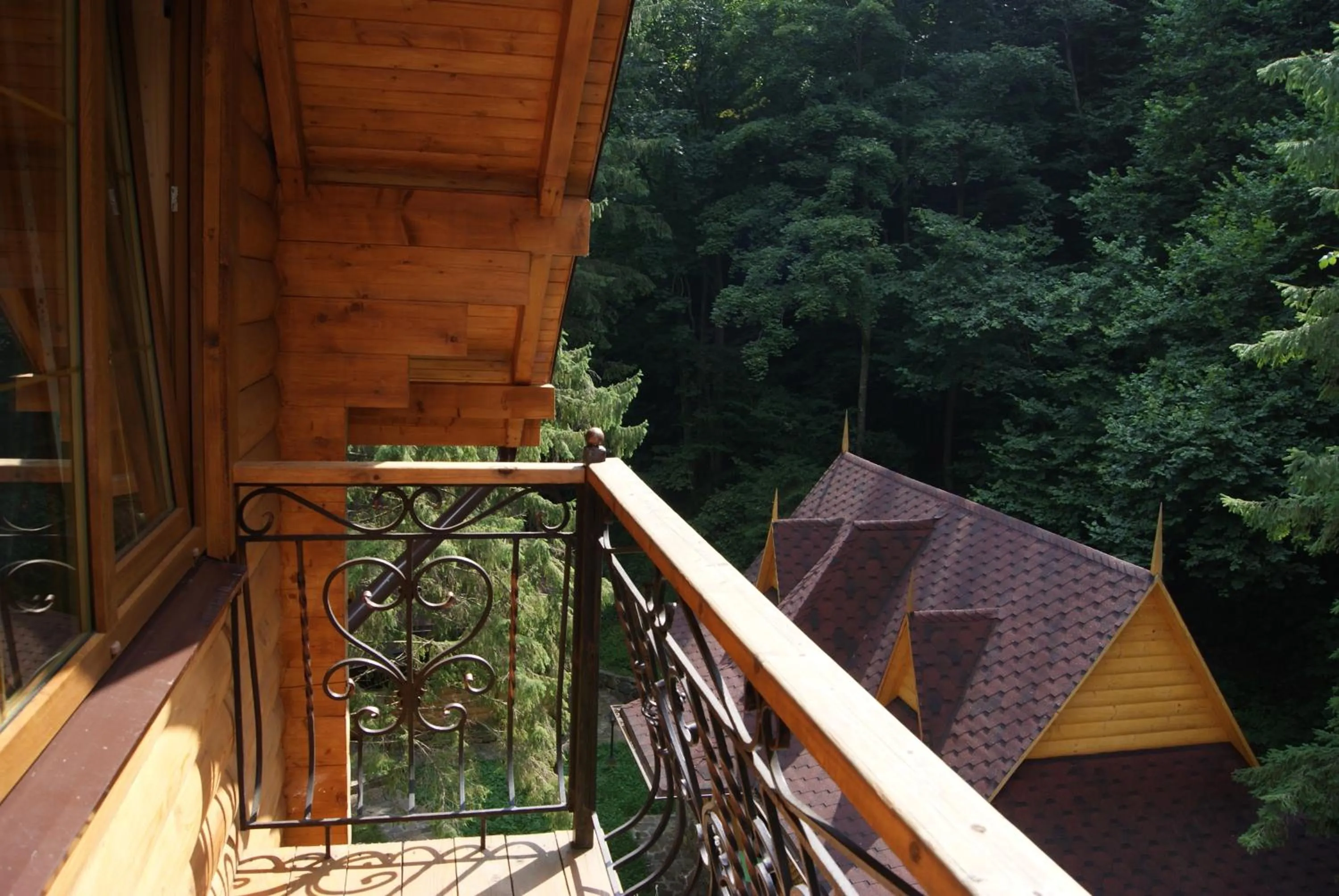Balcony/Terrace in Hotel Dykyi Med