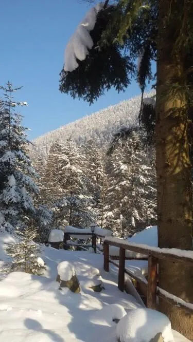 Natural landscape in Hotel Dykyi Med