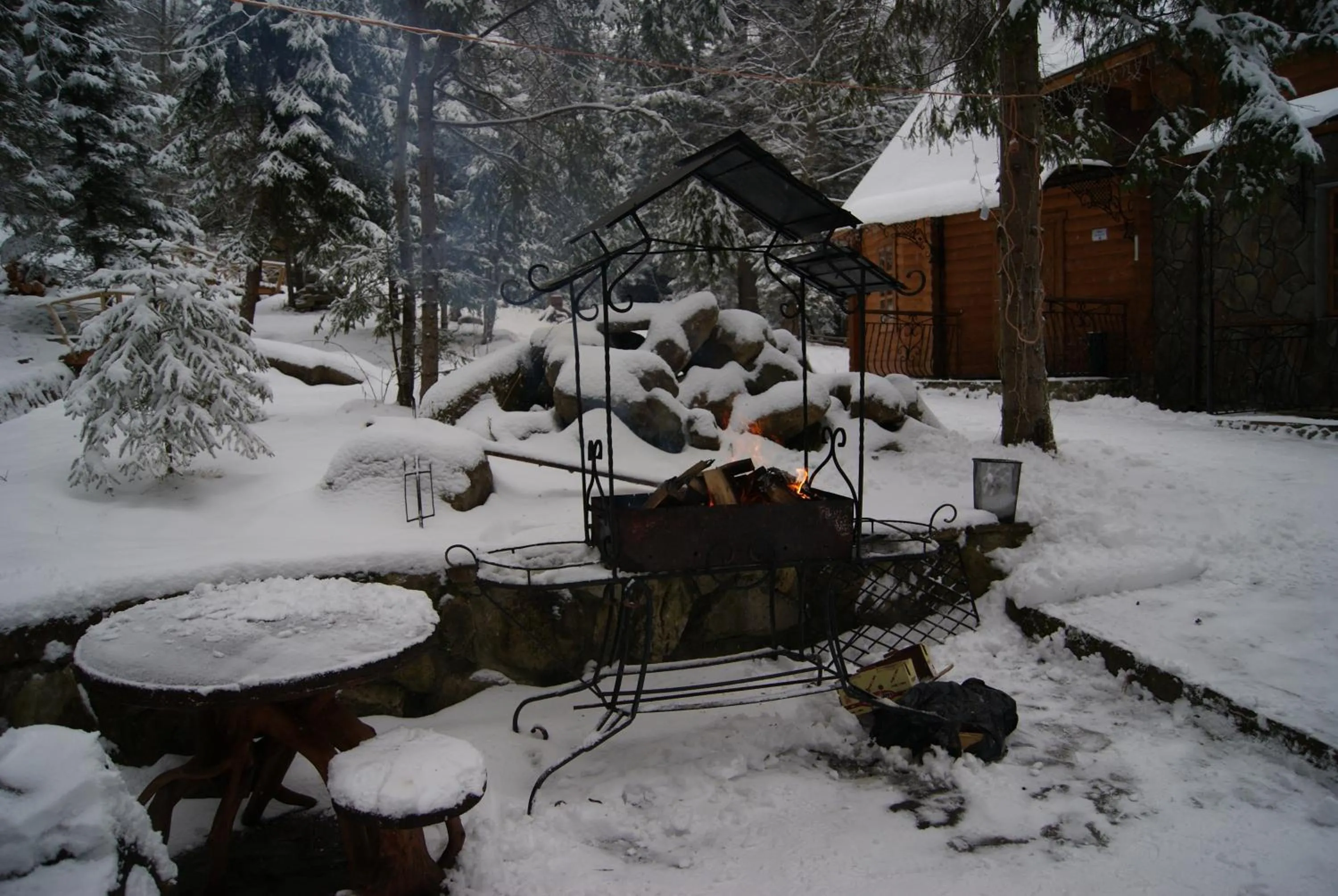 Winter in Hotel Dykyi Med