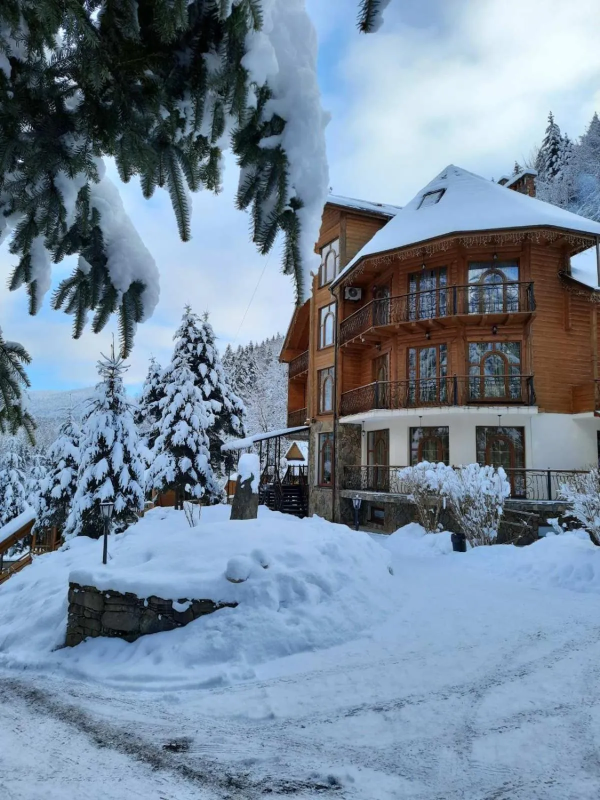 Property building in Hotel Dykyi Med
