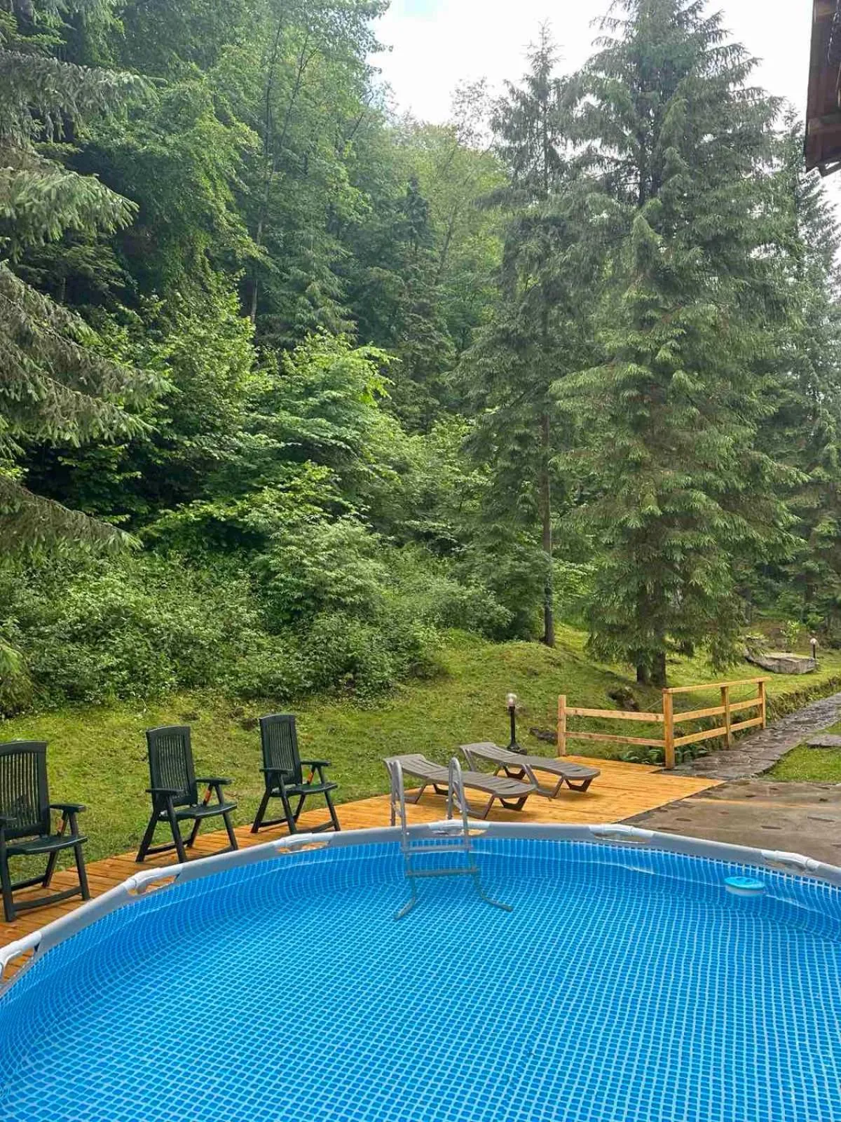 Pool view in Hotel Dykyi Med