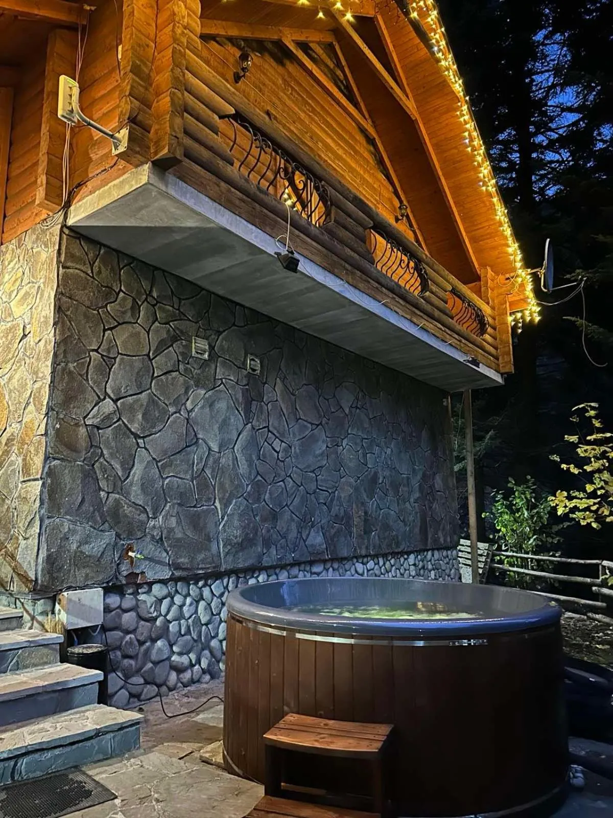 Swimming pool in Hotel Dykyi Med