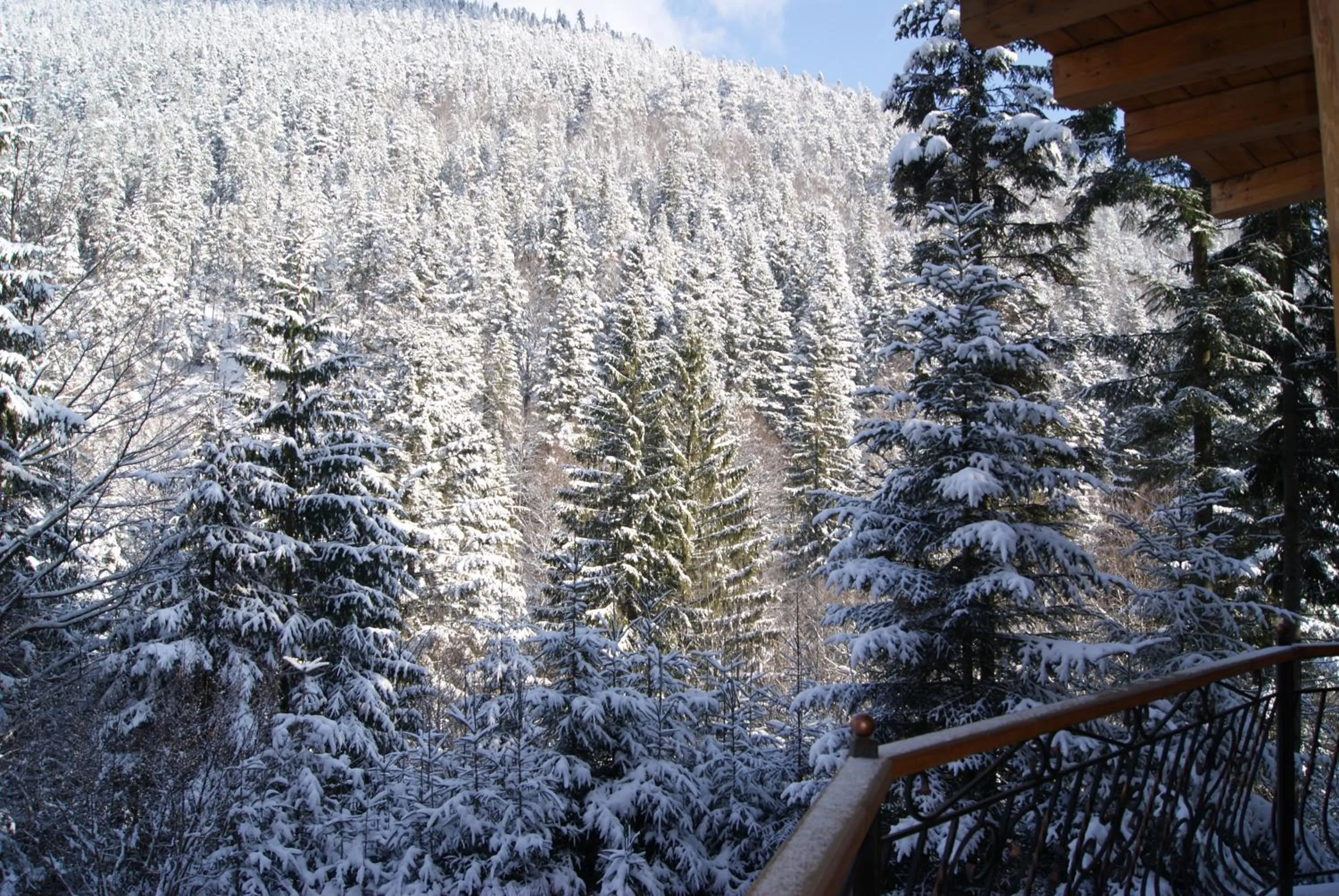 Natural landscape in Hotel Dykyi Med