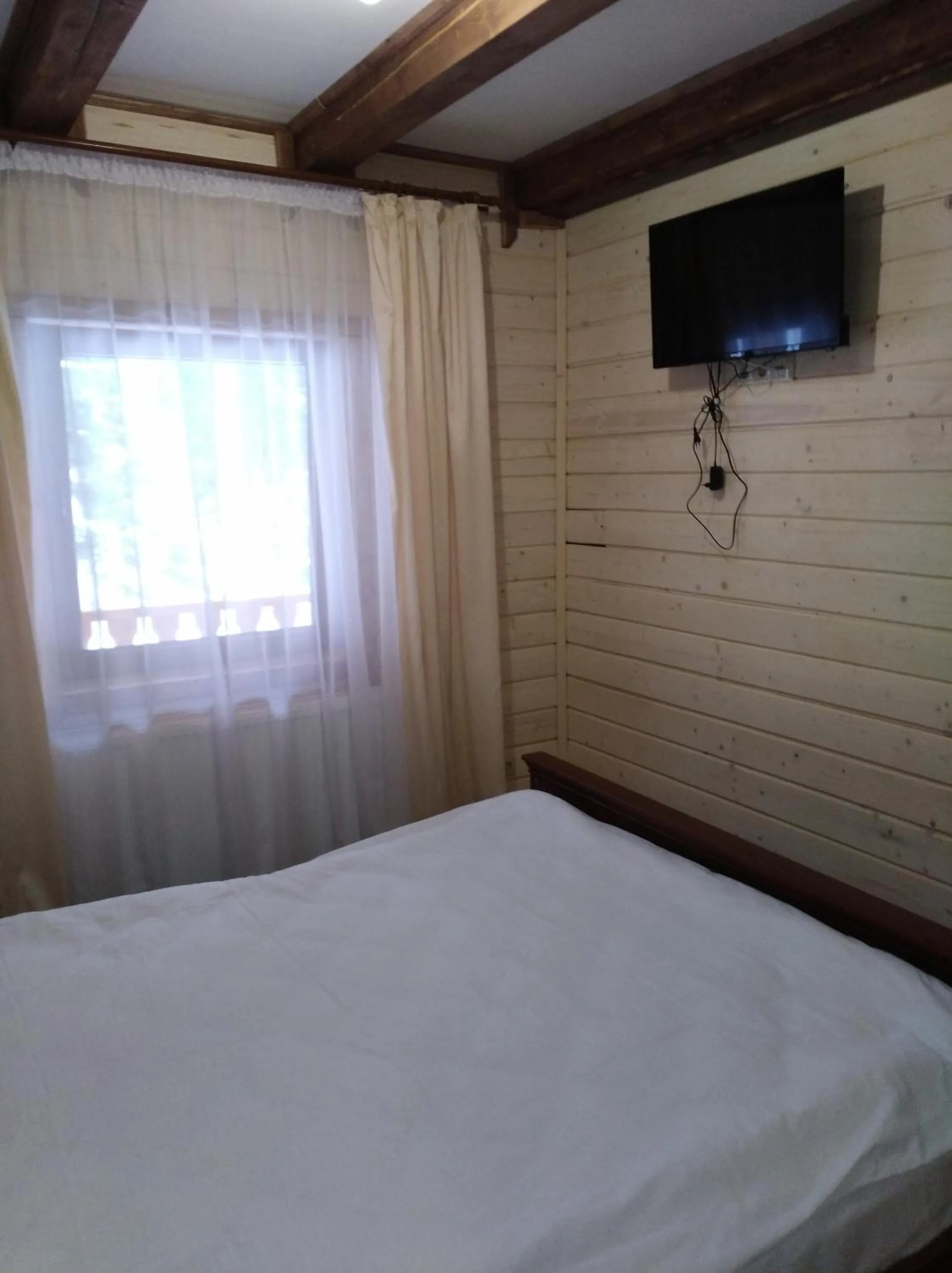 TV and multimedia, Bed in Hotel Dykyi Med