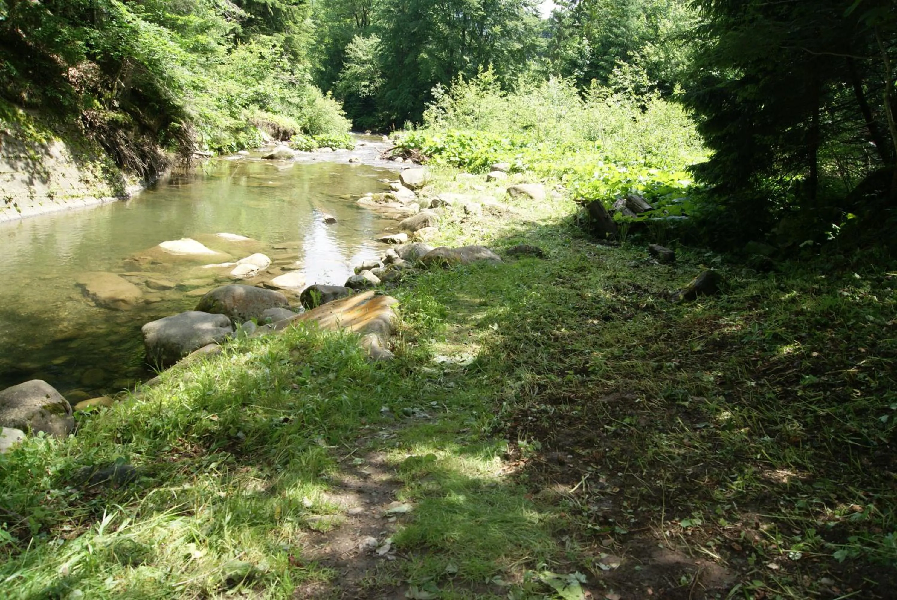 Natural landscape in Hotel Dykyi Med
