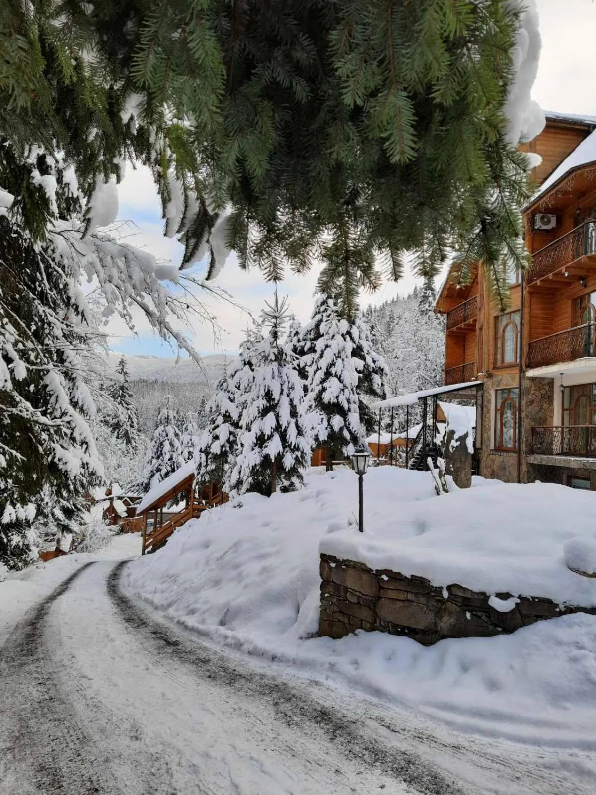 Property building in Hotel Dykyi Med