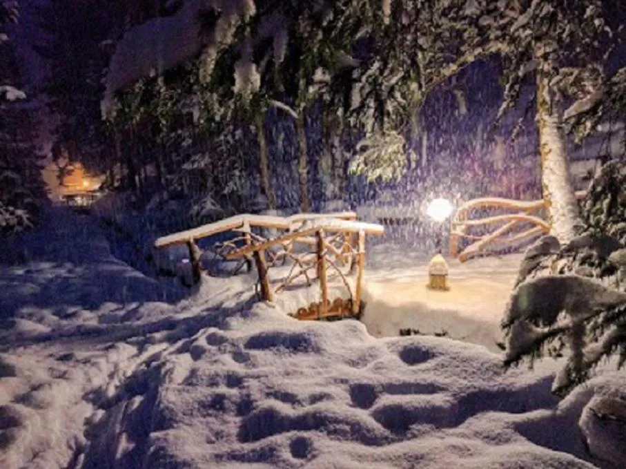 Winter in Hotel Dykyi Med