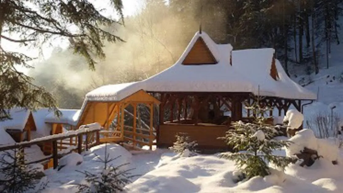 Winter in Hotel Dykyi Med