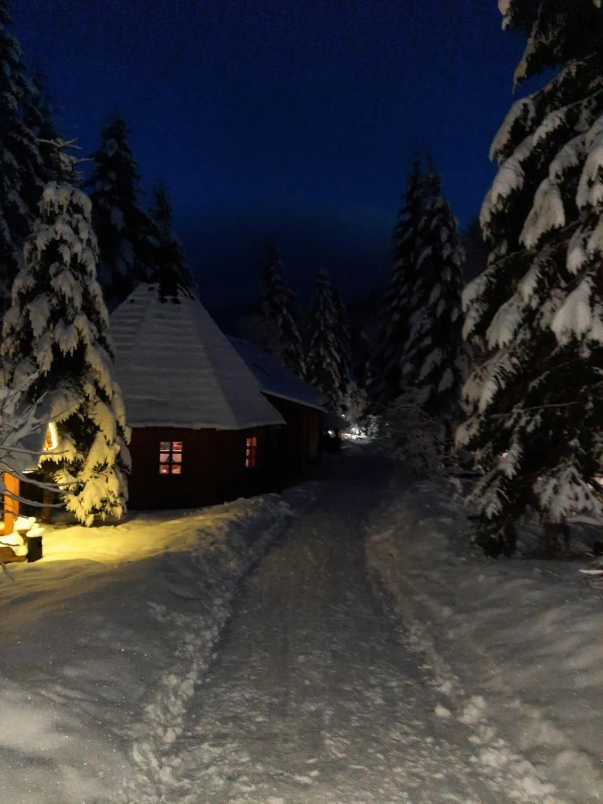 Restaurant/places to eat in Hotel Dykyi Med