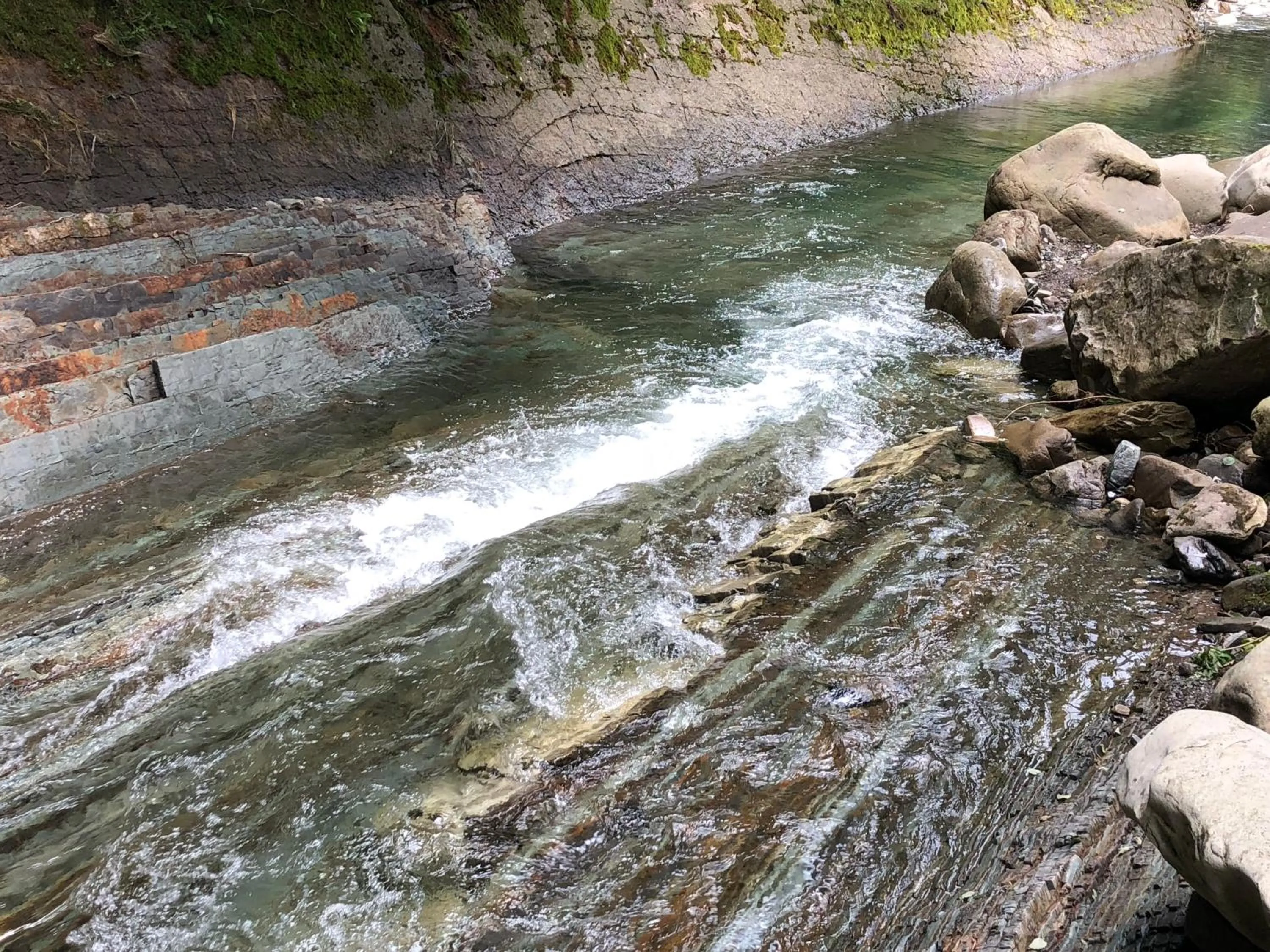 Natural landscape in Hotel Dykyi Med