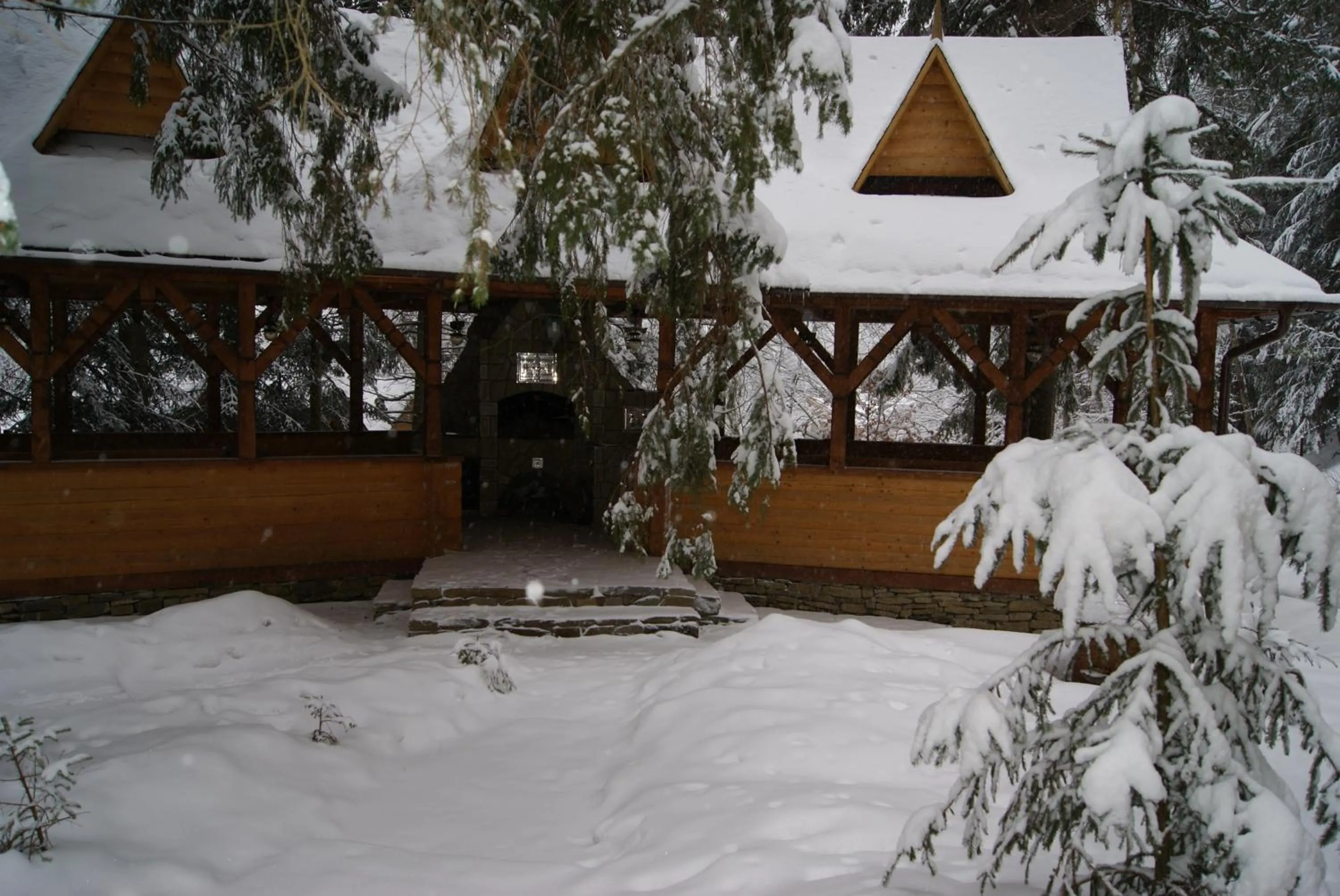 Winter in Hotel Dykyi Med