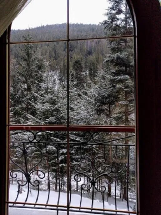 Winter in Hotel Dykyi Med