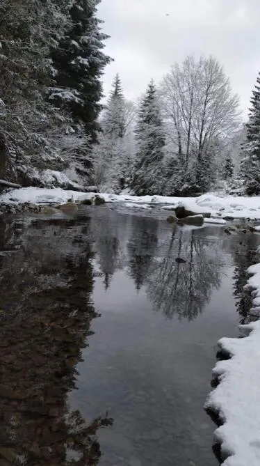 Natural landscape in Hotel Dykyi Med